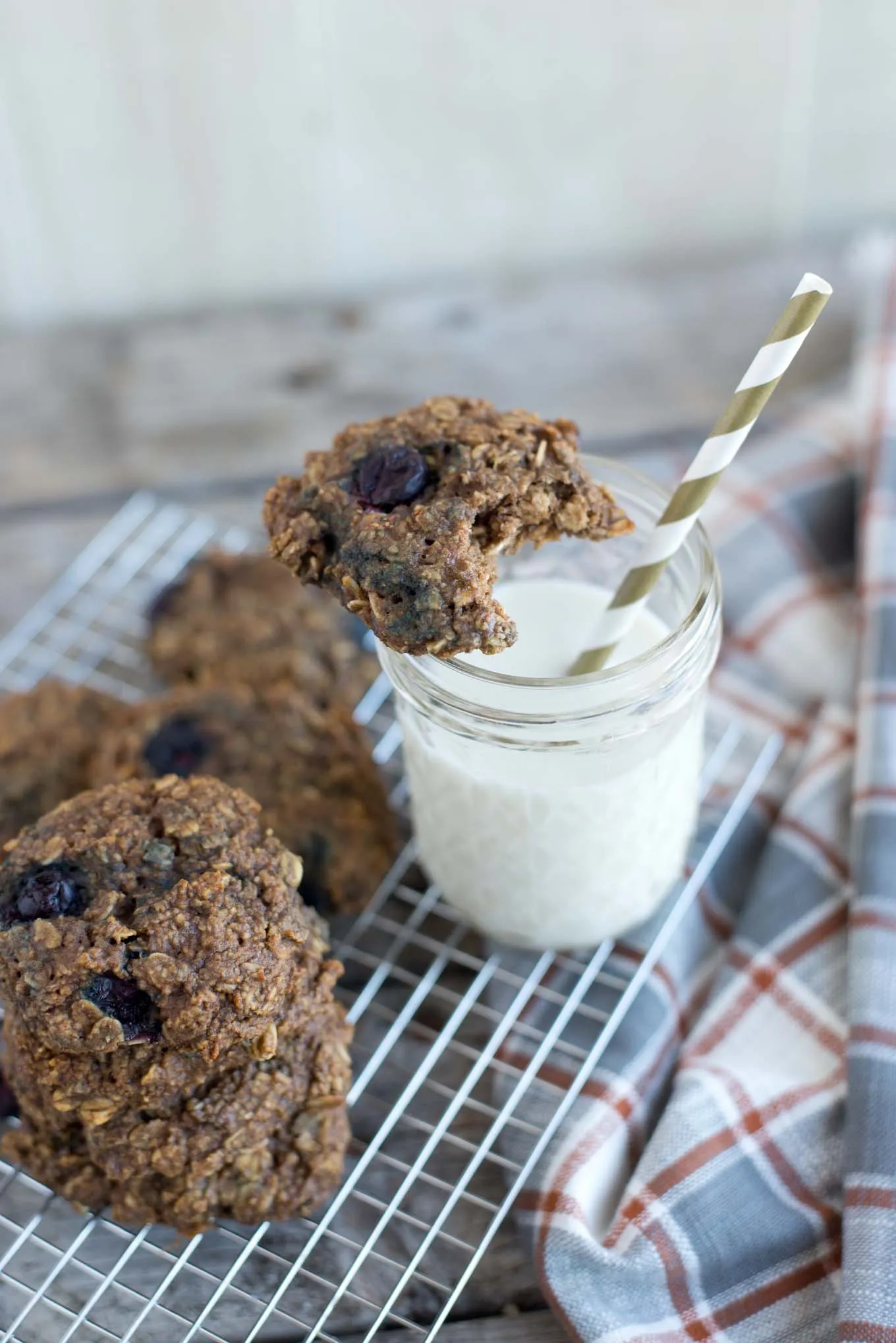 One Bowl Berry Oatmeal Breakfast Cookies