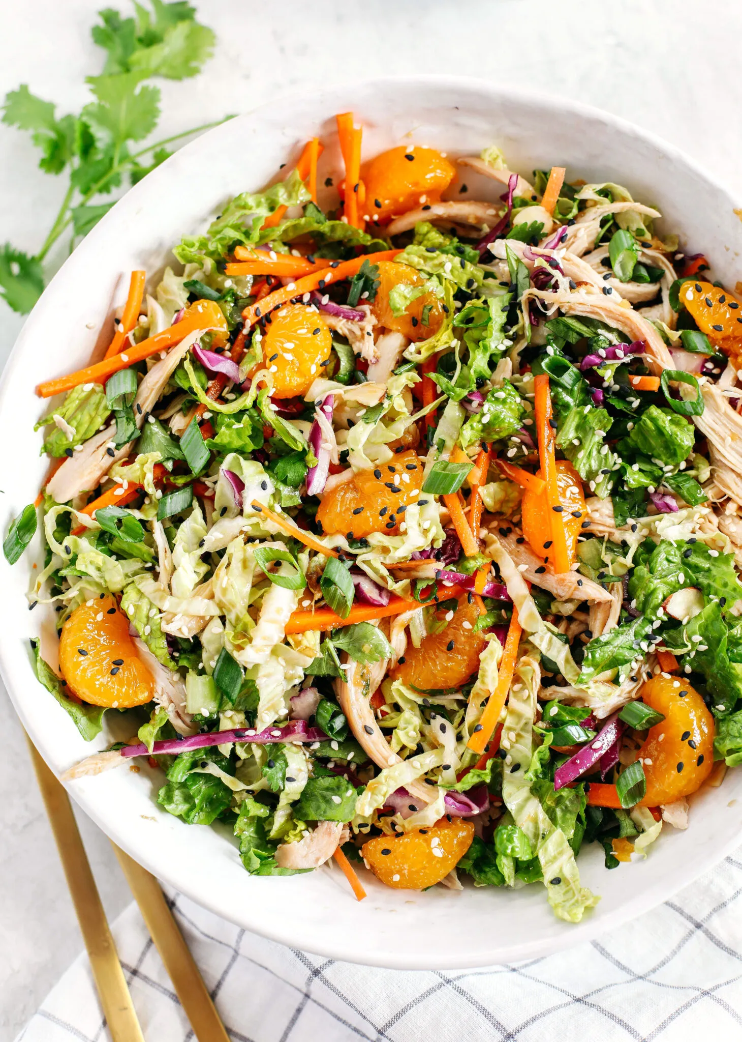 Oriental Chicken Salad with Sesame Dressing