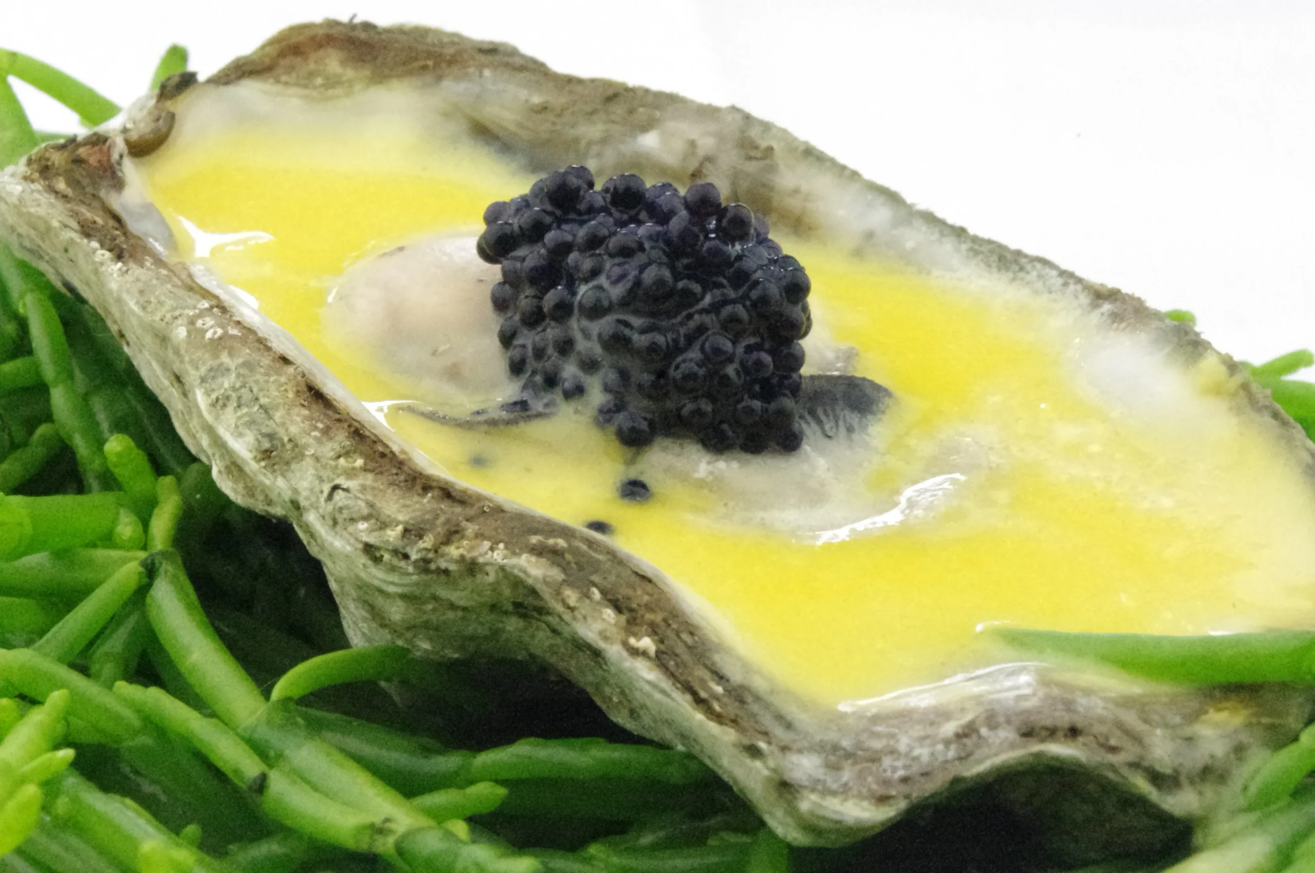 Oysters in Champagne Sauce