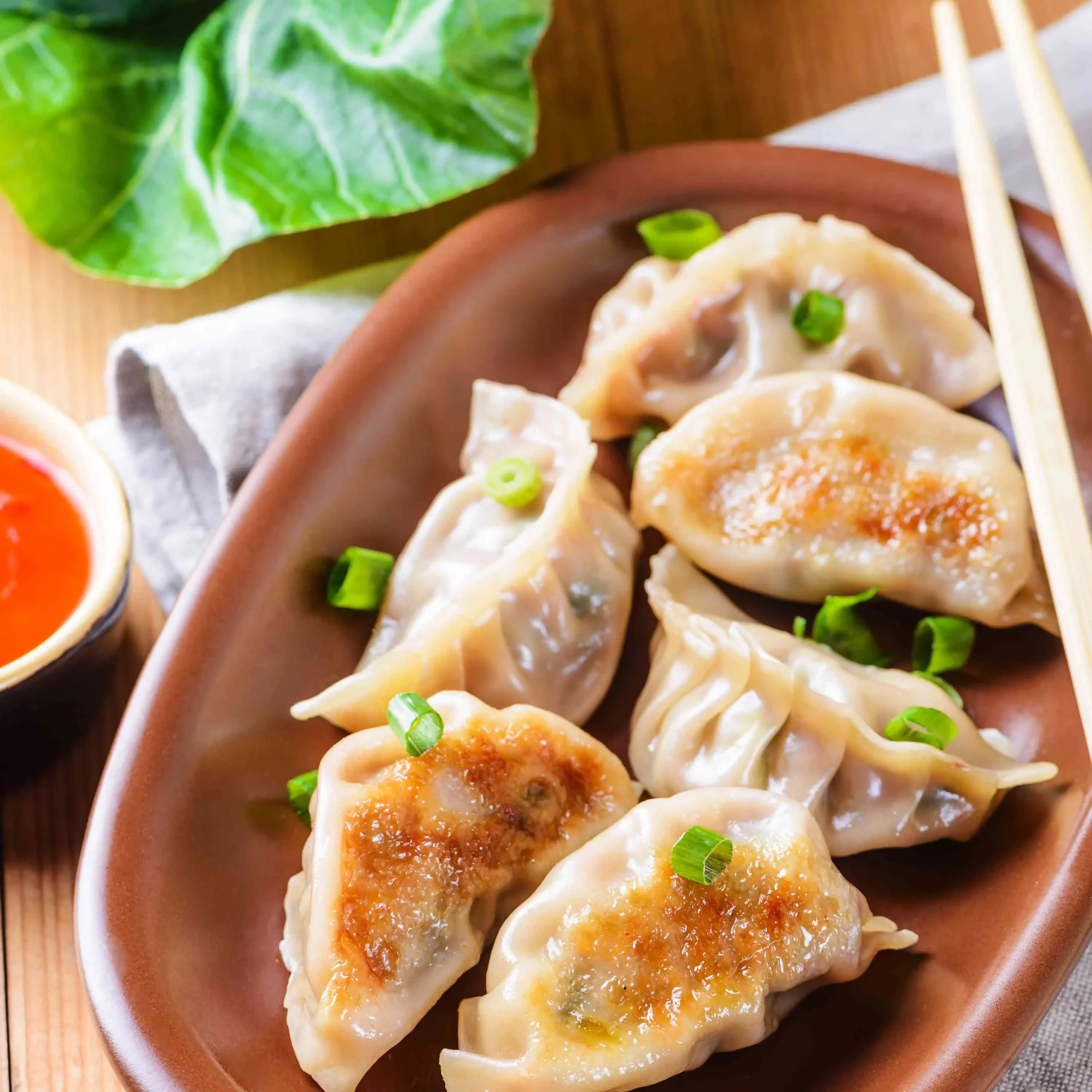 Pan Fried Chinese Dumplings