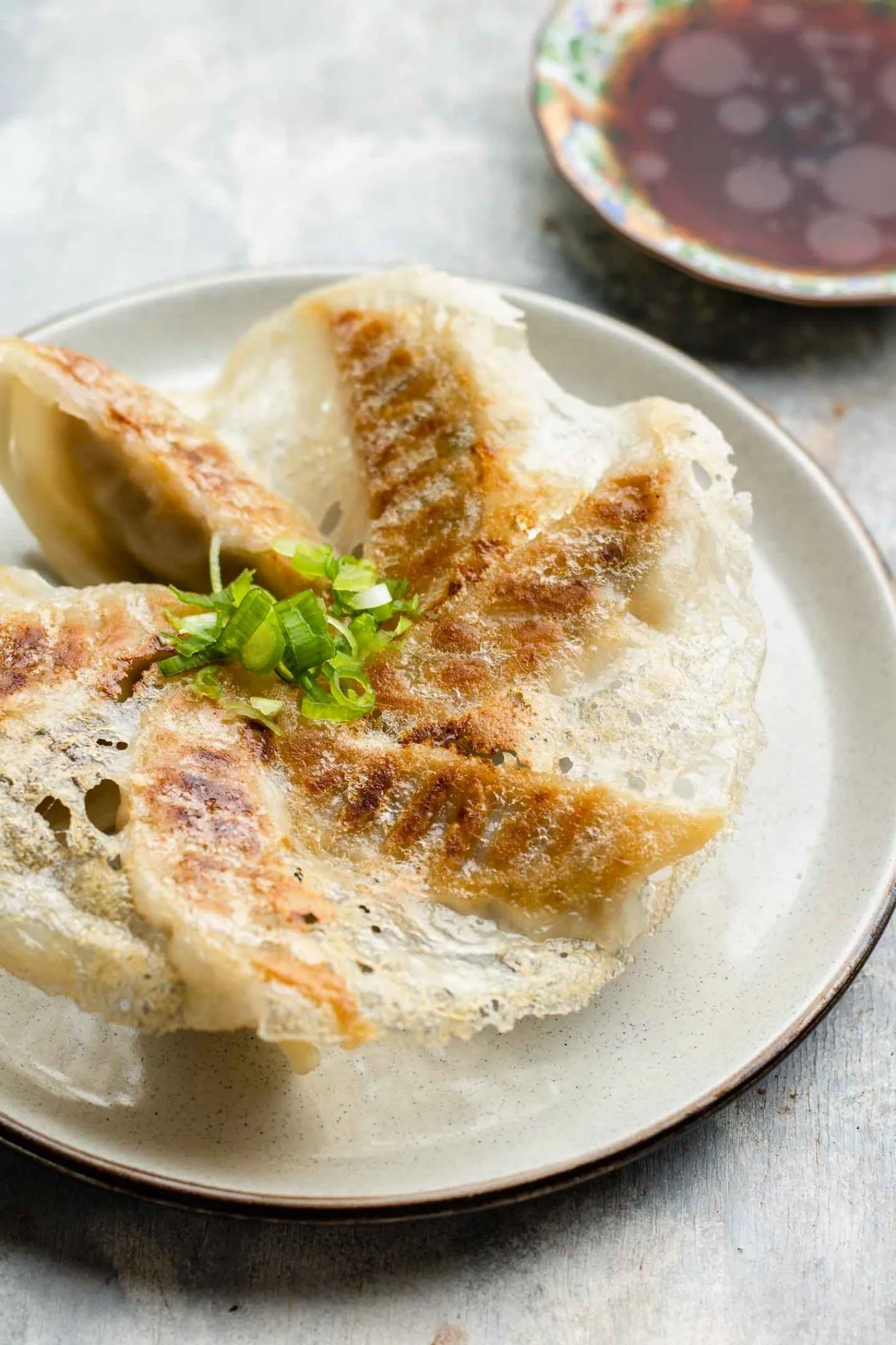 Pan Fried Gyoza with Crispy Lattice Coating