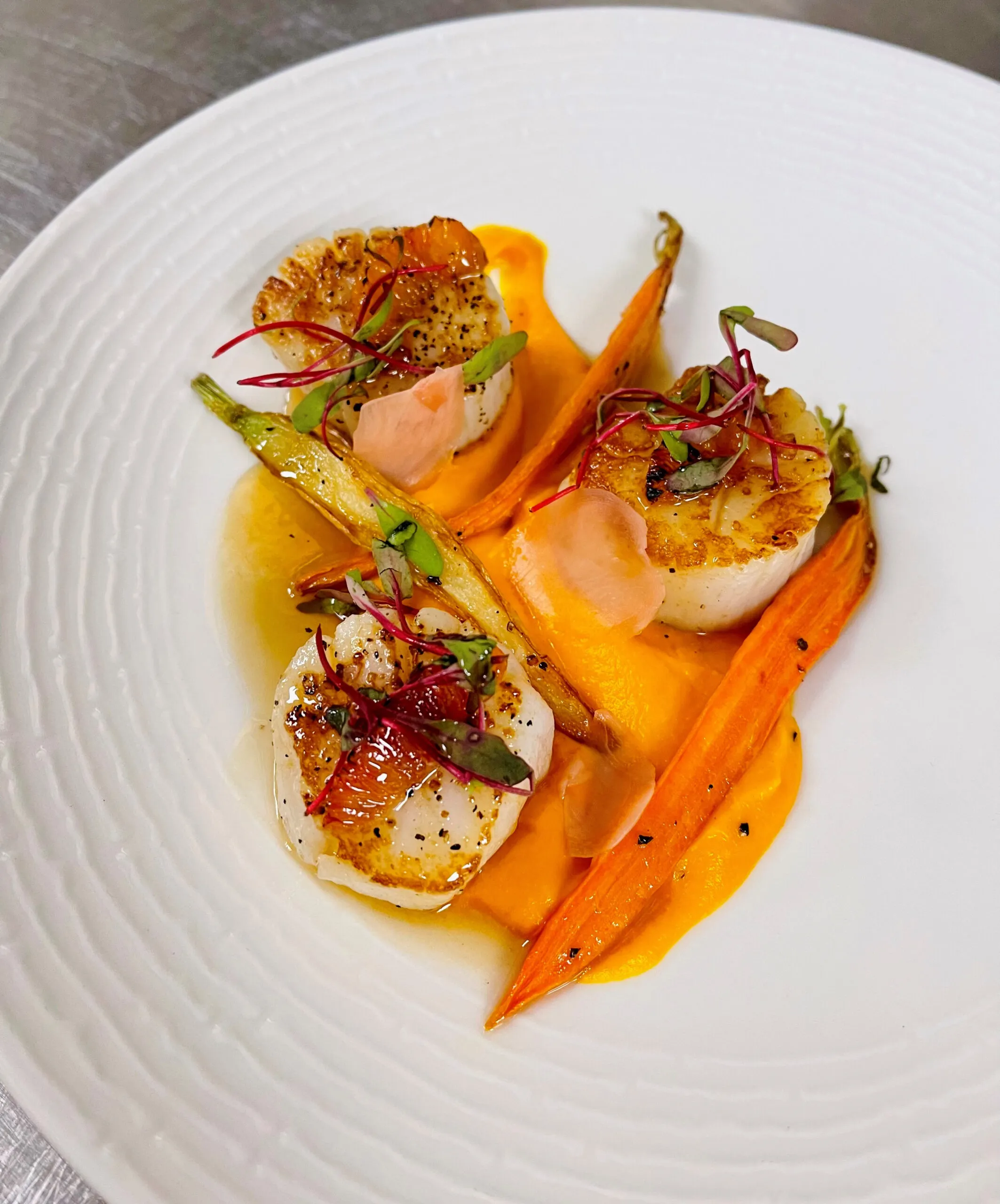 Pan Seared Scallops with Carrot Romesco Sauce