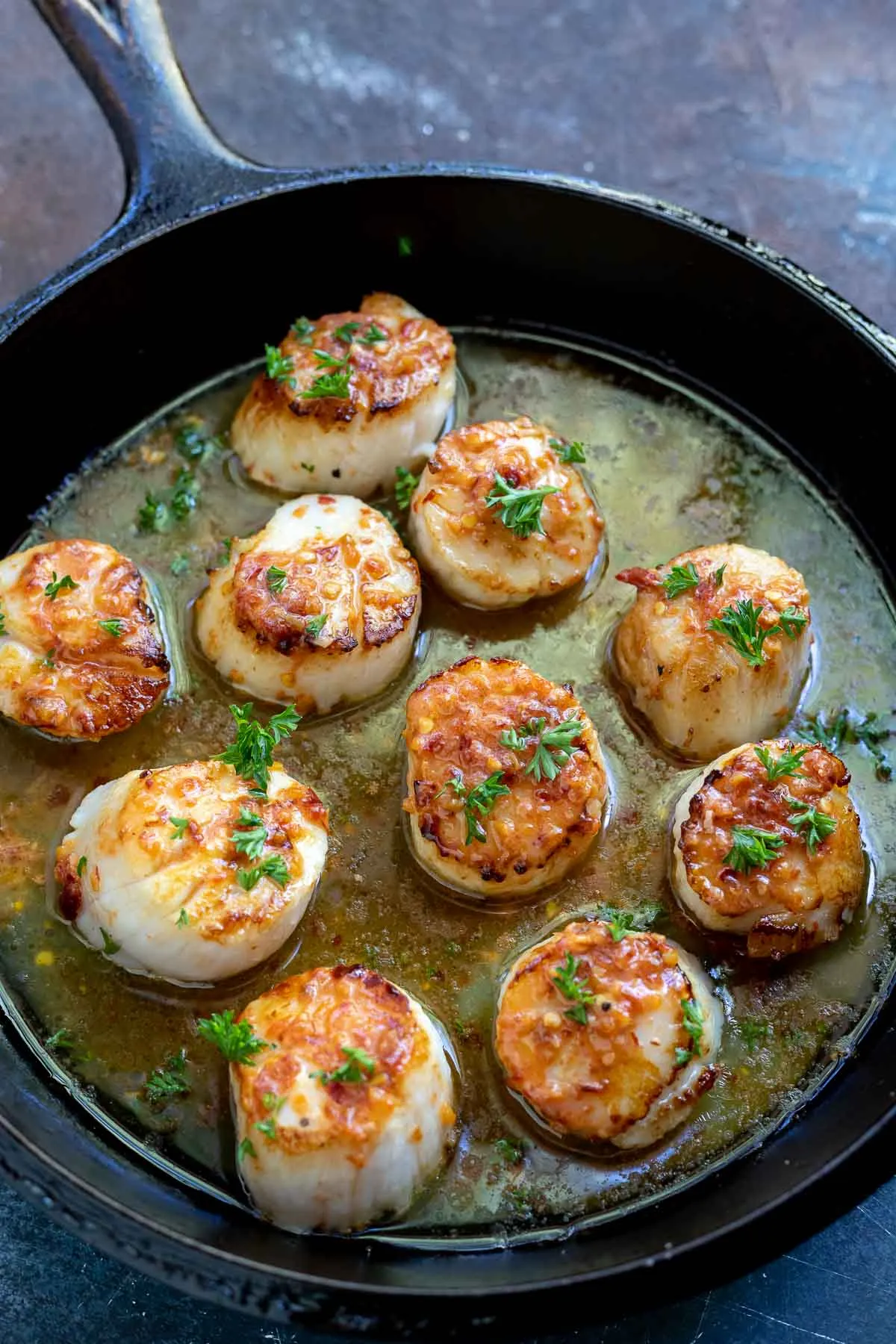 Pan Seared Sea Scallops with Fresh Herb Sauce