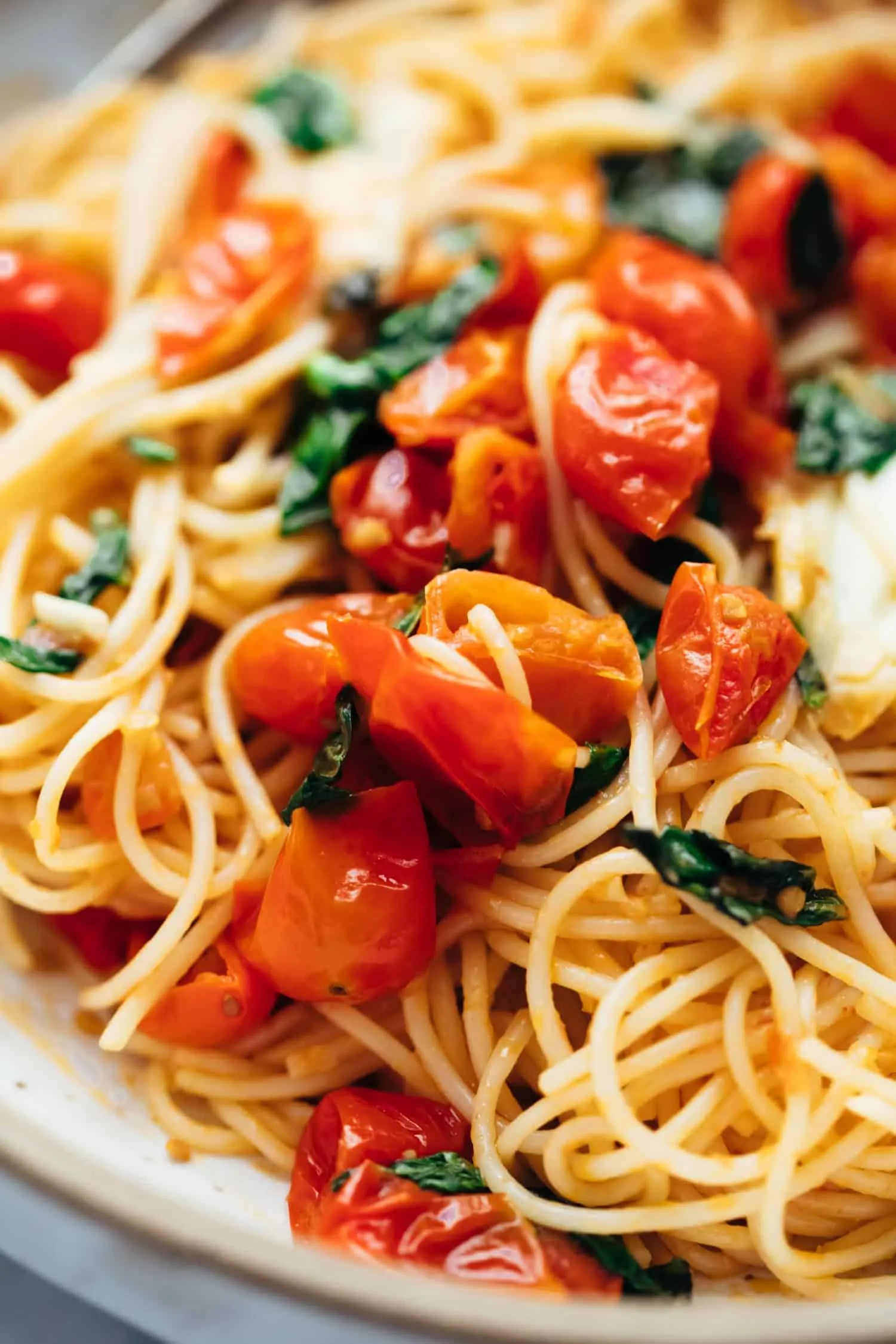 Pasta with Tomato and Basil