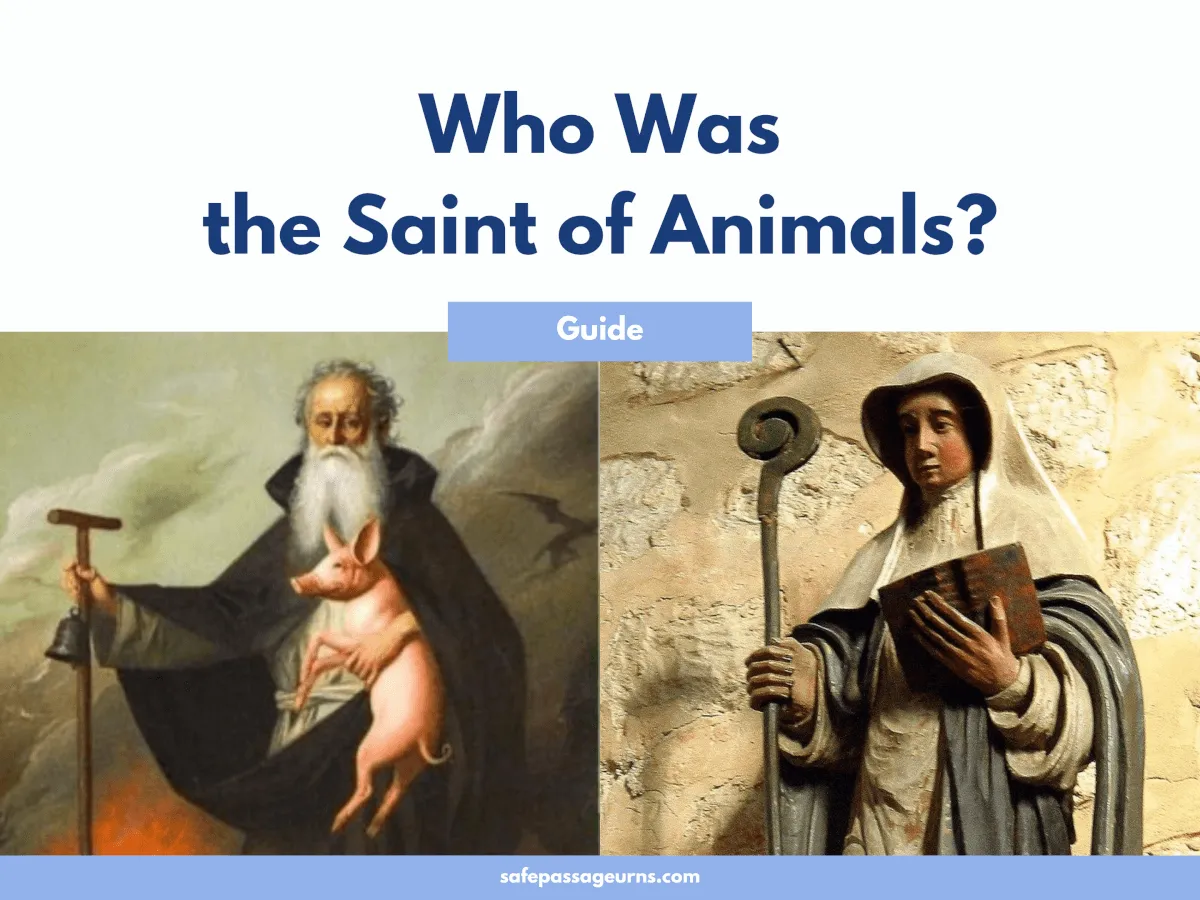 Patron Saints of Animals and Music Cookies