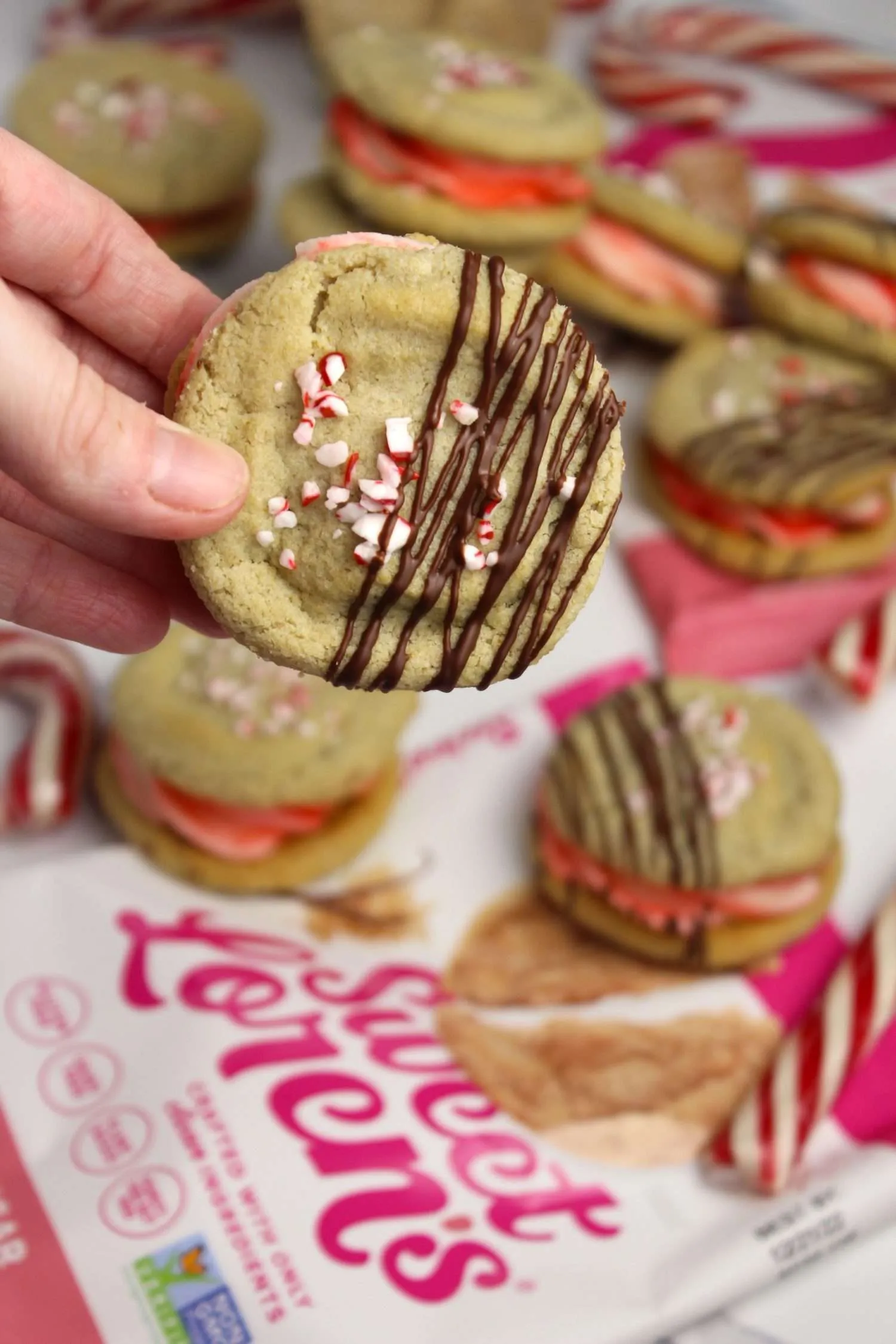 Peppermint Swirl Sugar Cookies