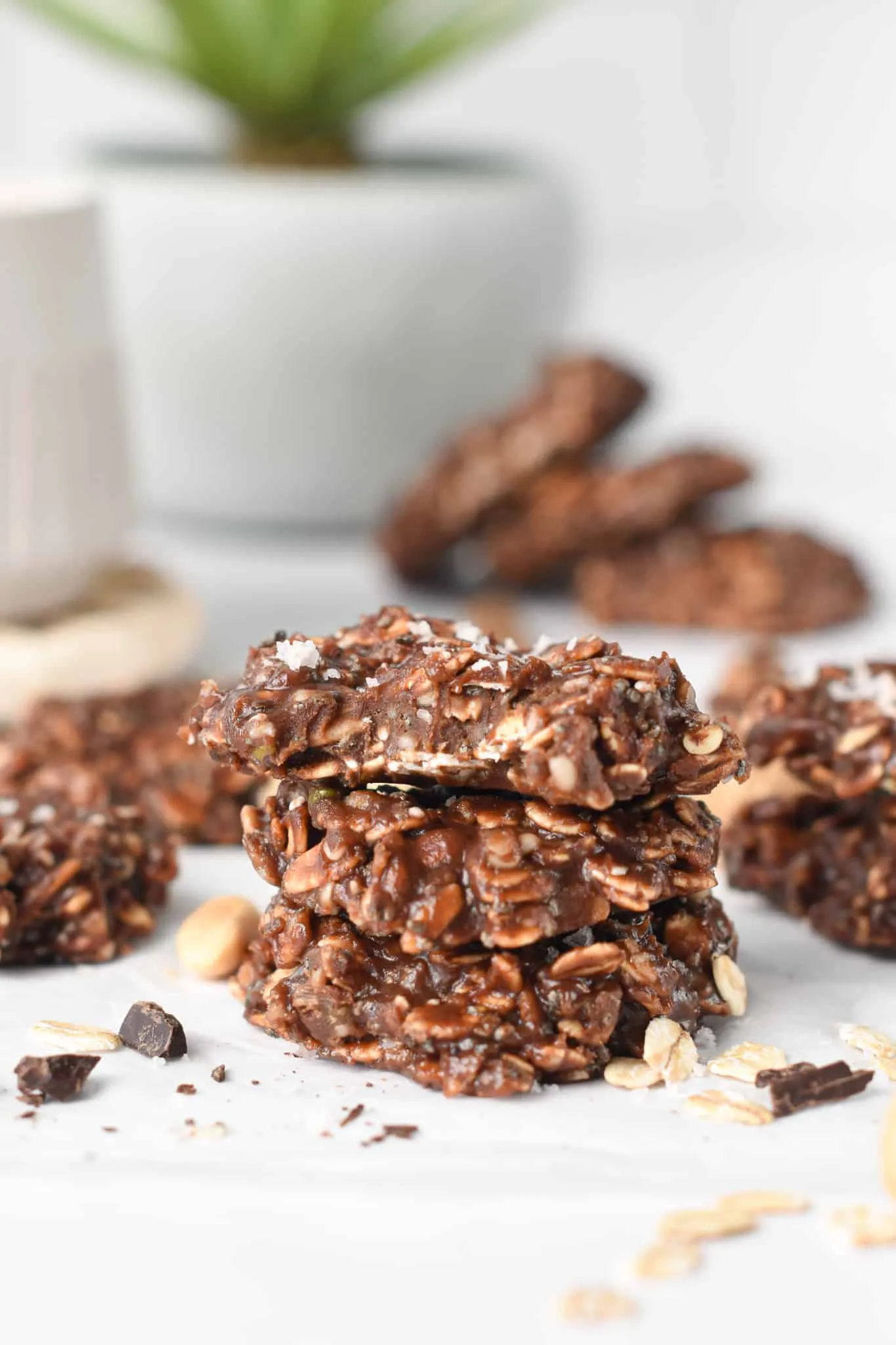 Protein No Bake Cookies
