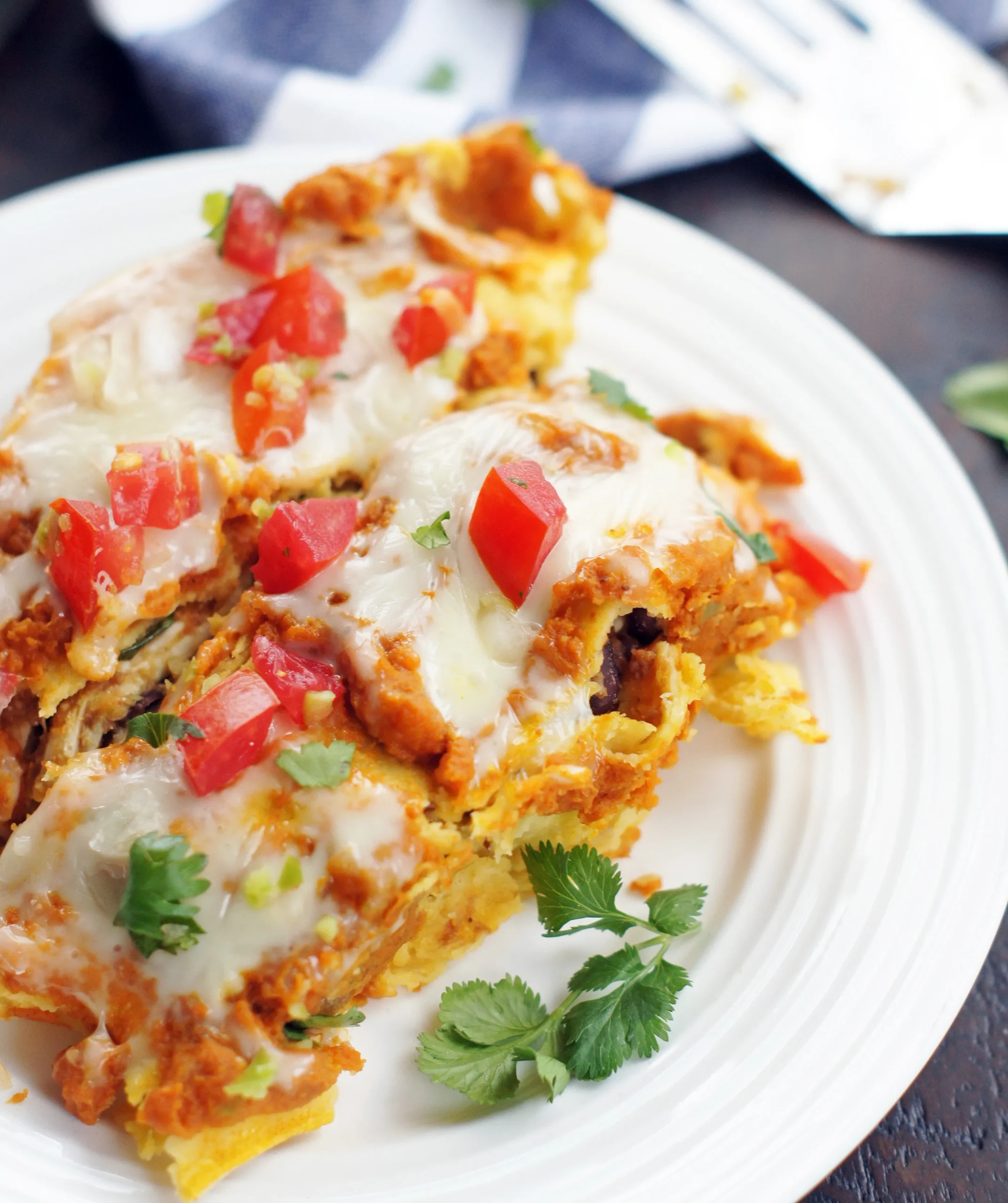 Pumpkin Black Bean Enchiladas