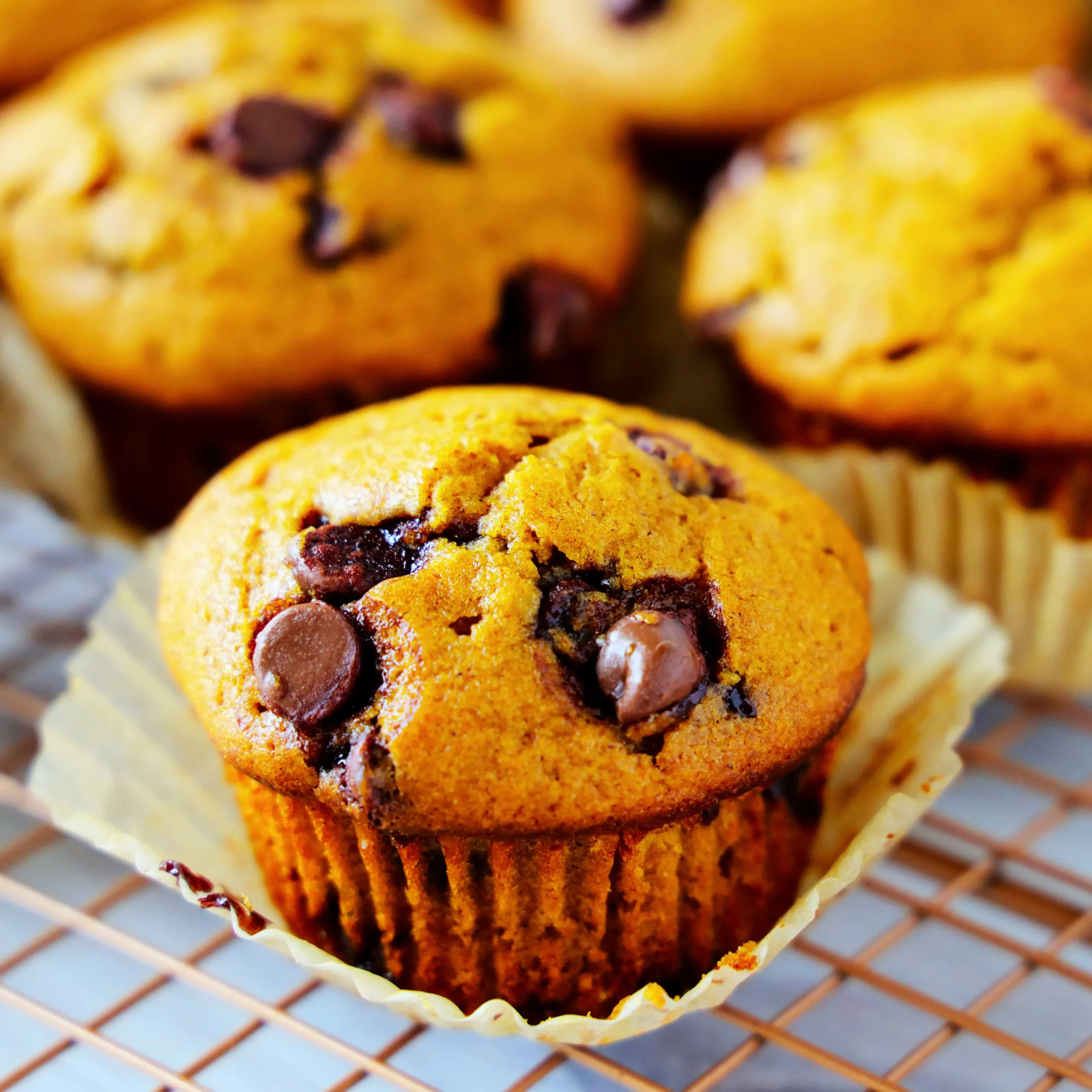 Pumpkin Chocolate Chip Muffin
