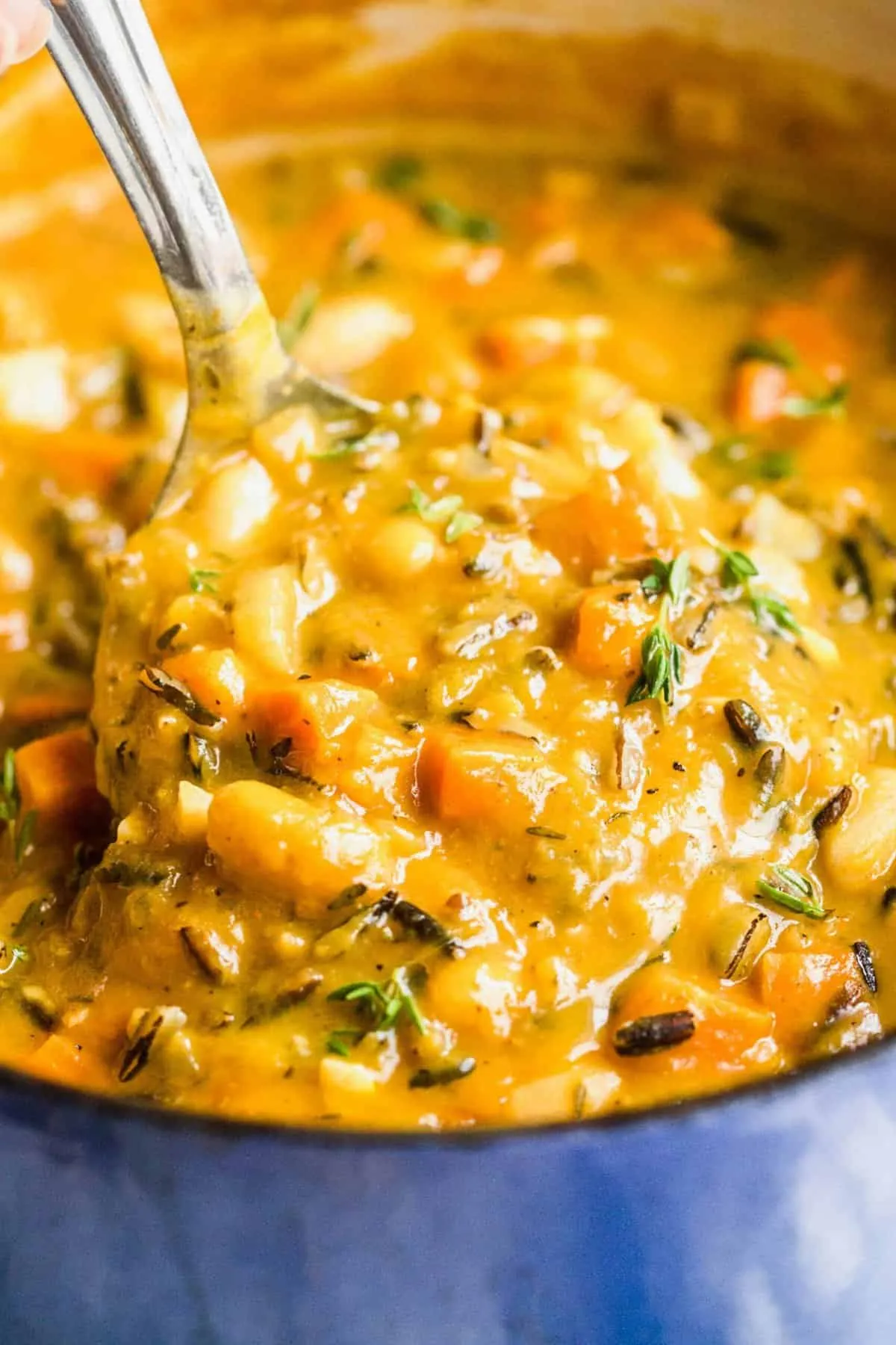 Pumpkin Wild Rice Soup