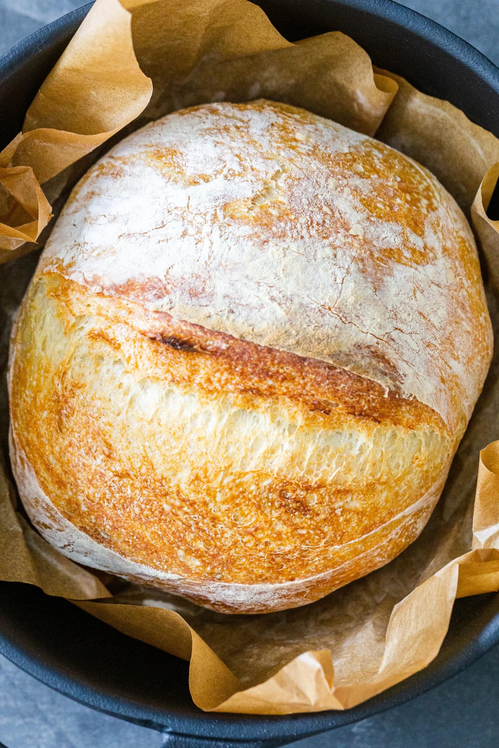 Quick Dutch Oven Bread
