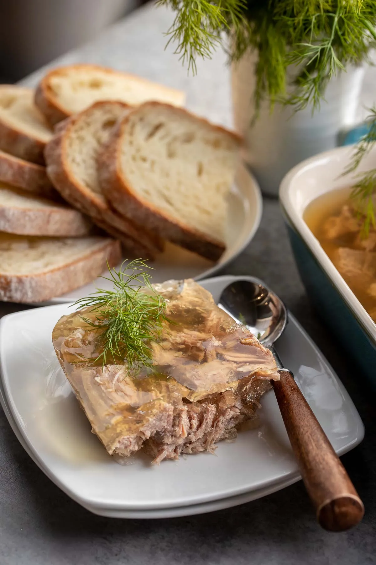 Quick Easy Kholodets Meat Aspic