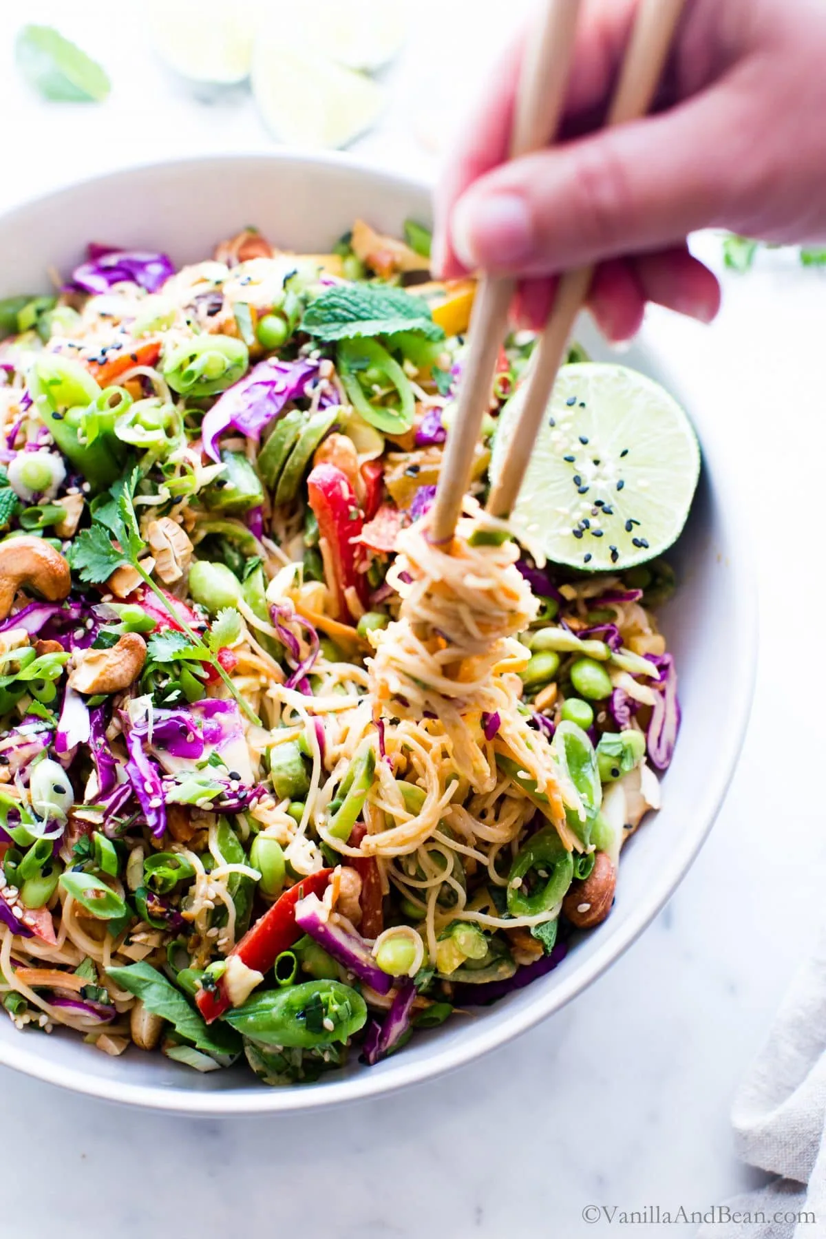 Salad Thai Peanut Pasta Salad Erika