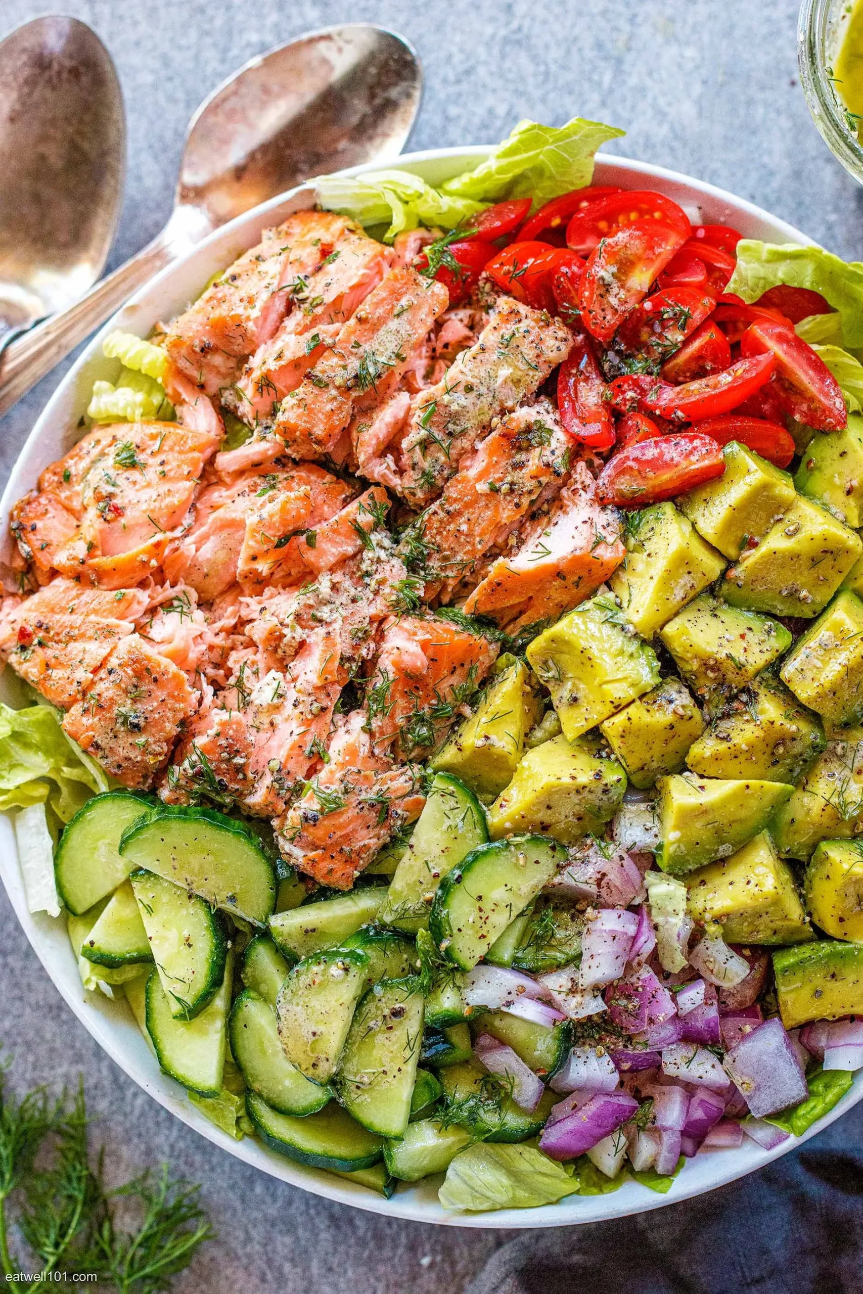 Salmon Avocado and Cucumber Salad with Cilantro Dressing