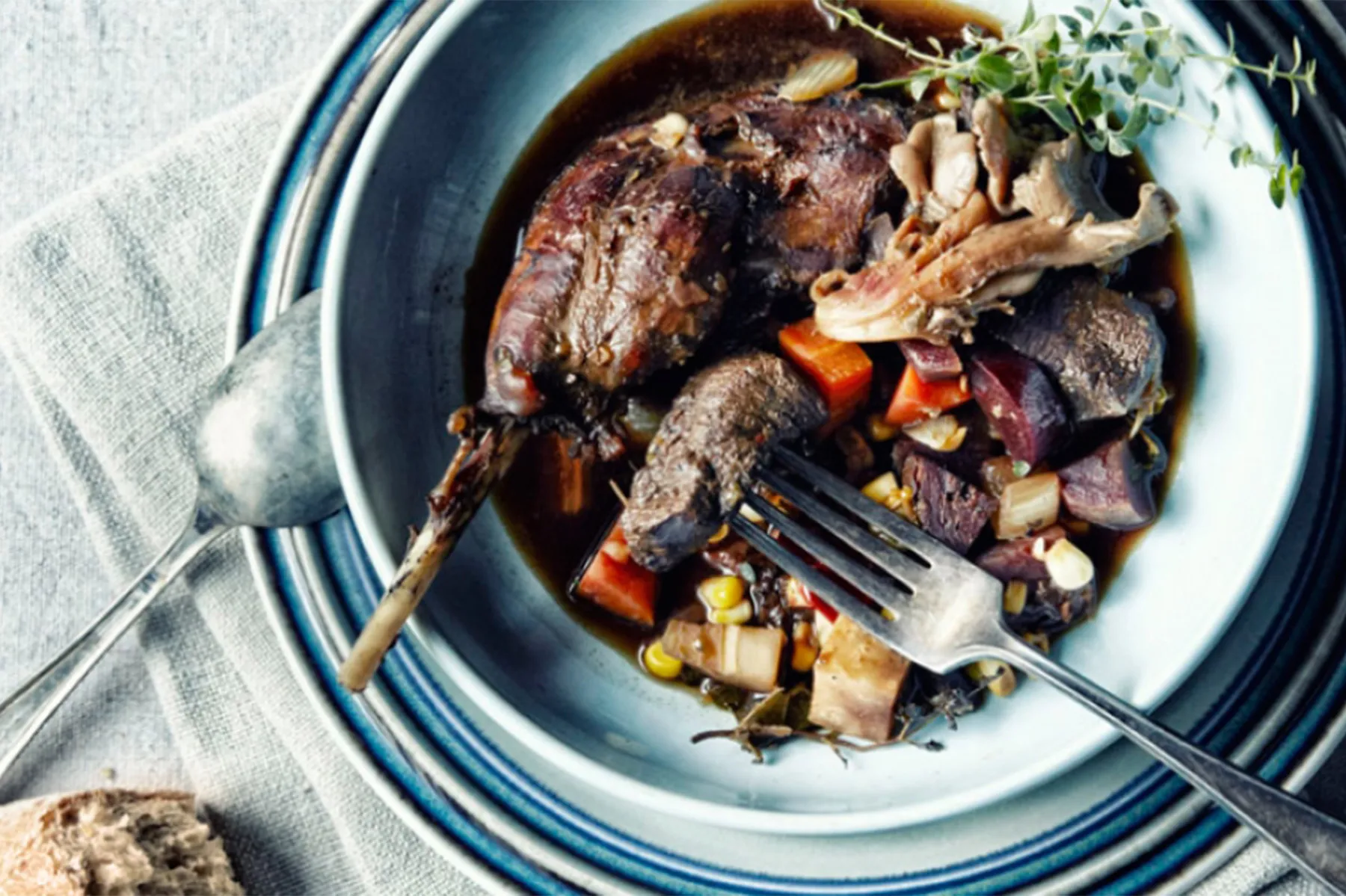 Savory Wild Goose Stew