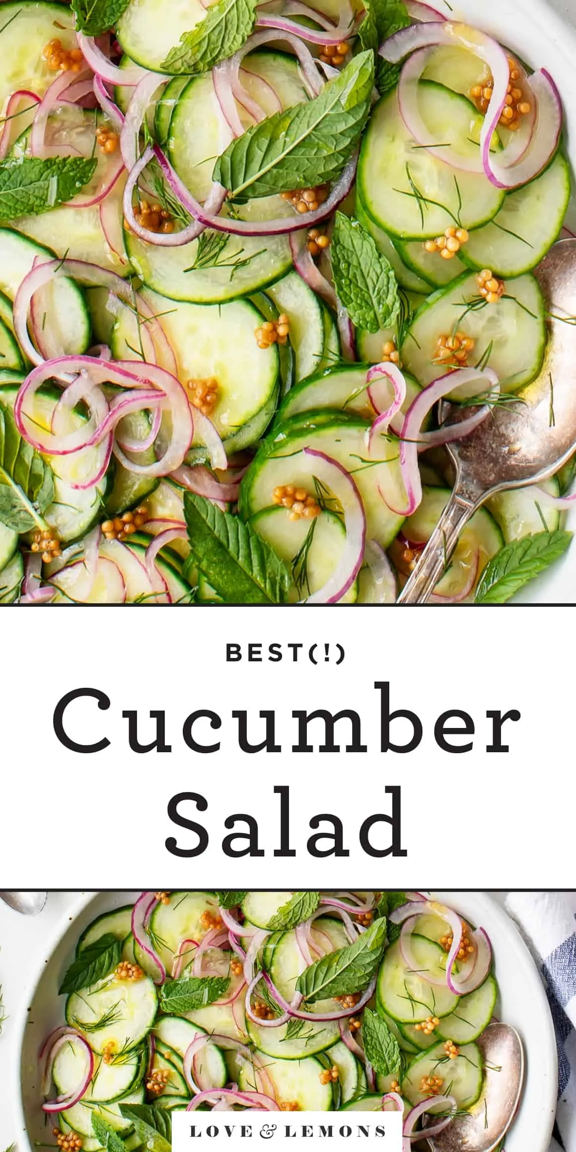 Sesame Cucumber Salad with Mustard Seeds