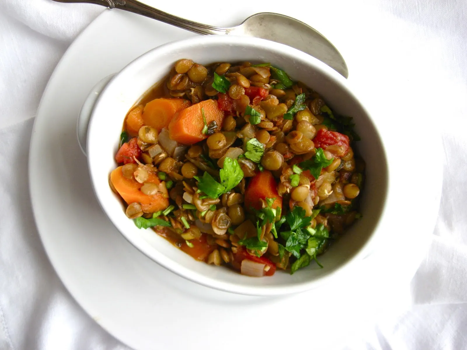 Sharon's Lentil Salsa Soup