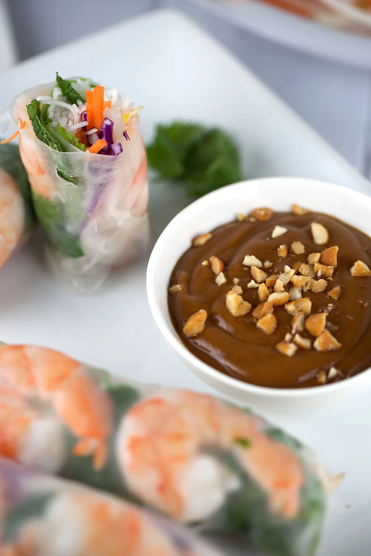 Shrimp Summer Rolls with Peanut Hoisin