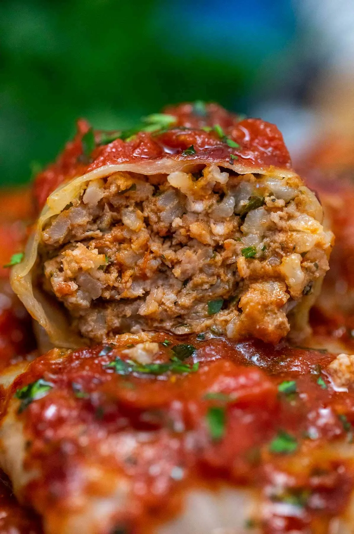 Slow Cooked Stuffed Cabbage Rolls