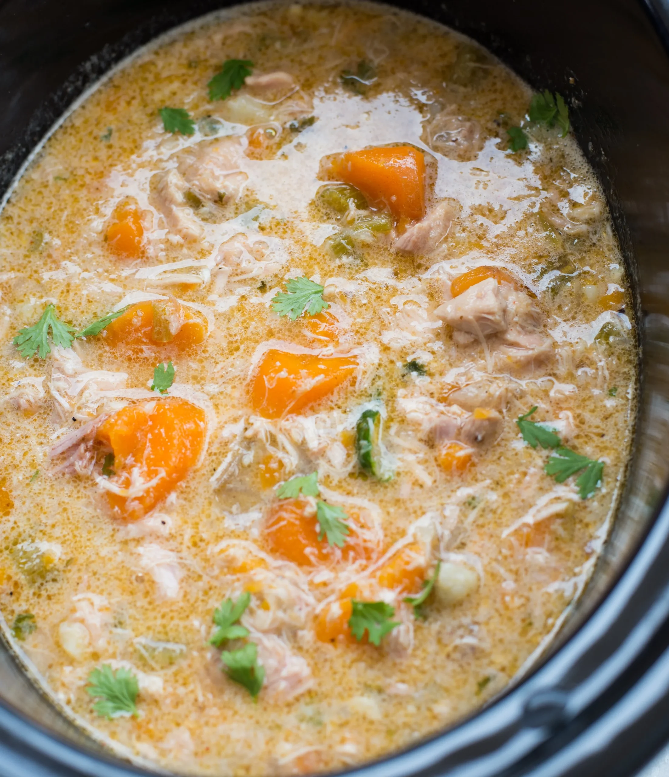 Slow Cooker Chicken Veggie and Quinoa Stew