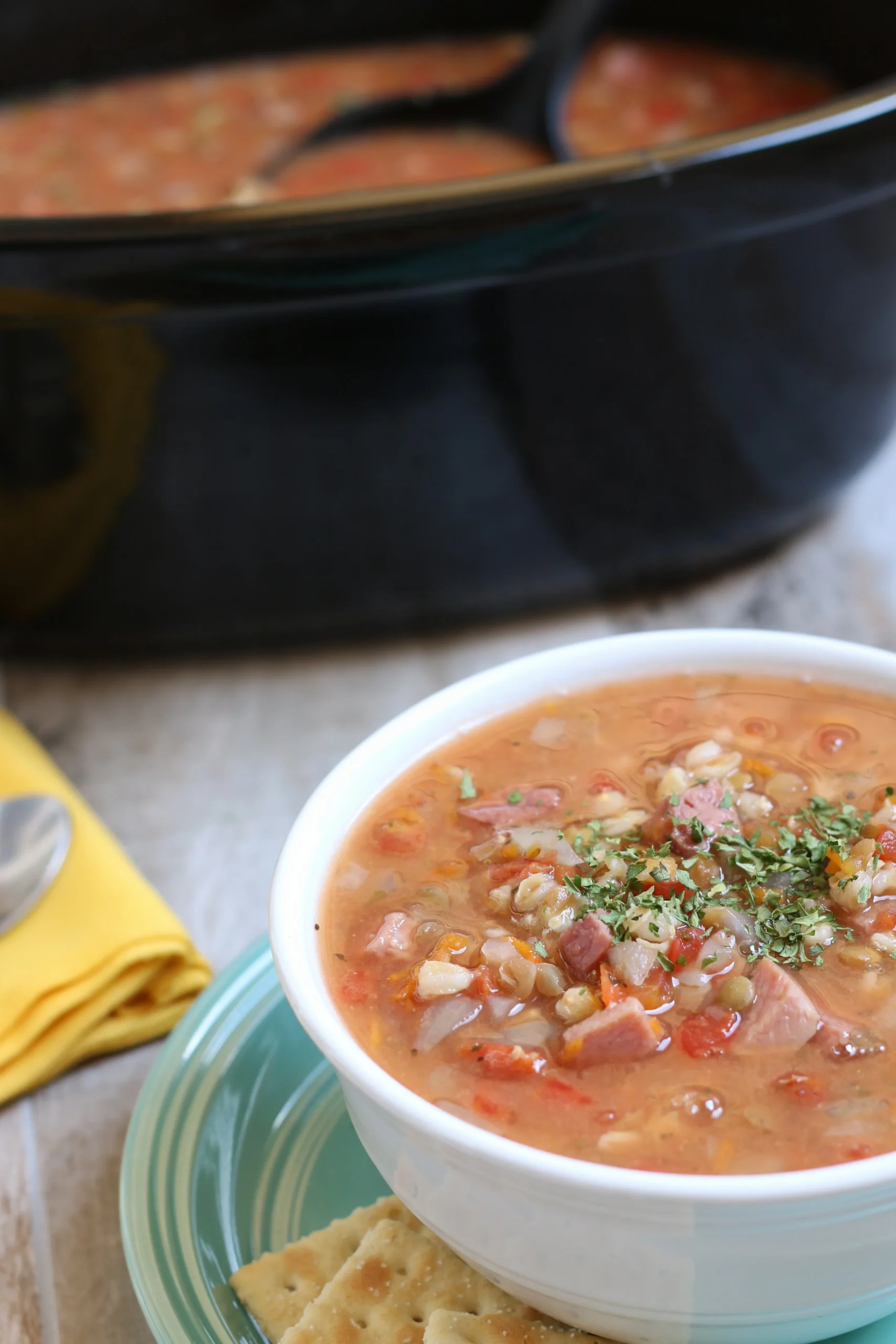 Slow Cooker Ham Lentil and Barley Soup