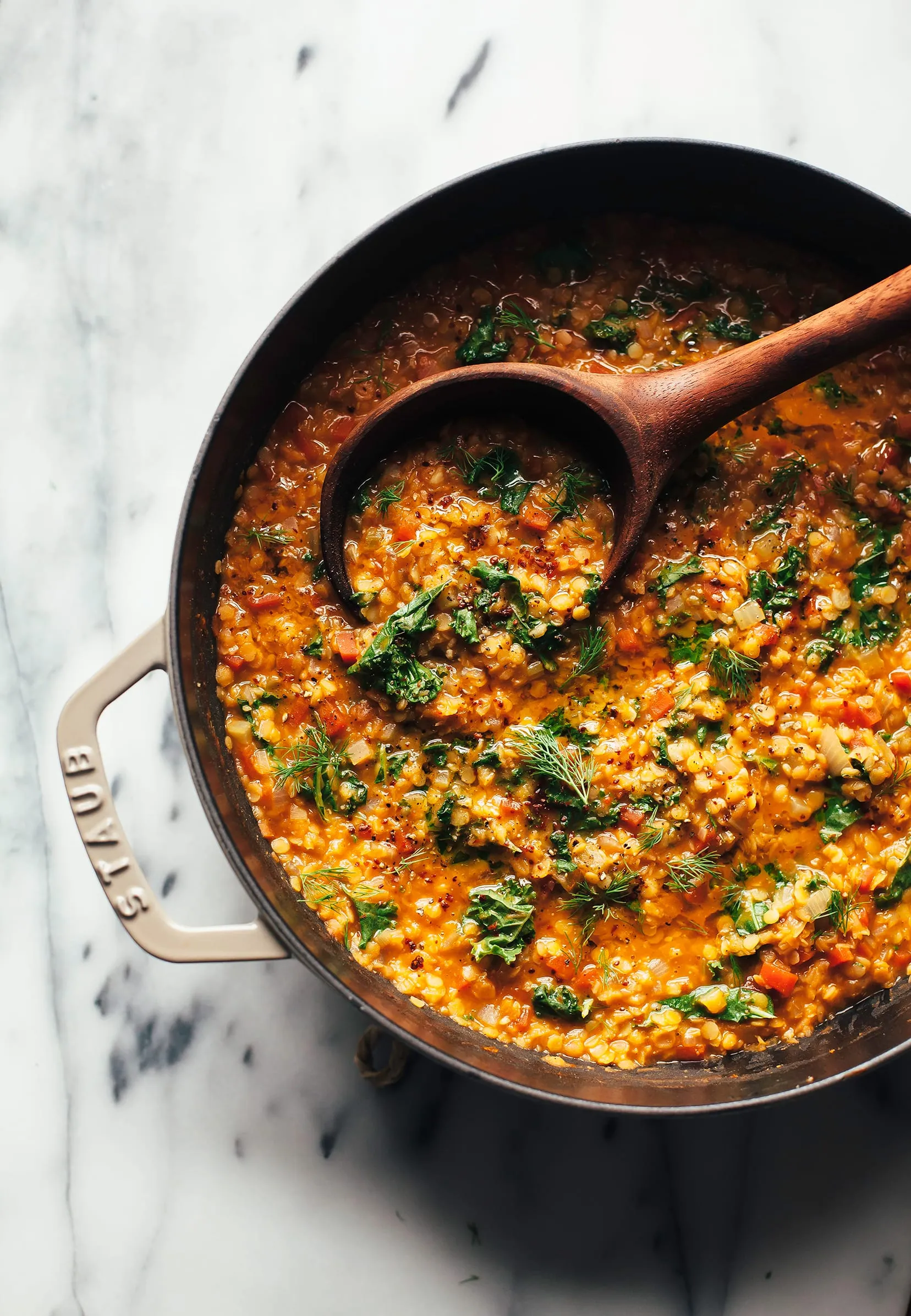 Slow Cooker Red Lentil Stew