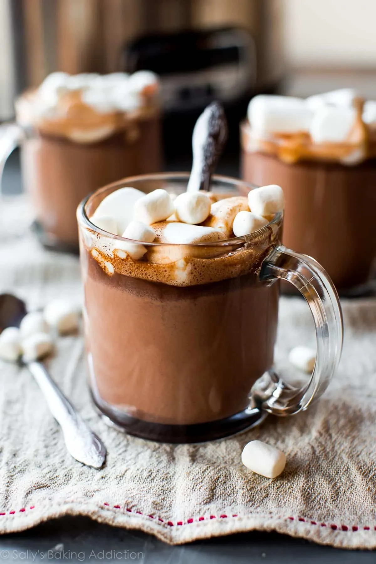 Slow Cooker Triple Hot Chocolate