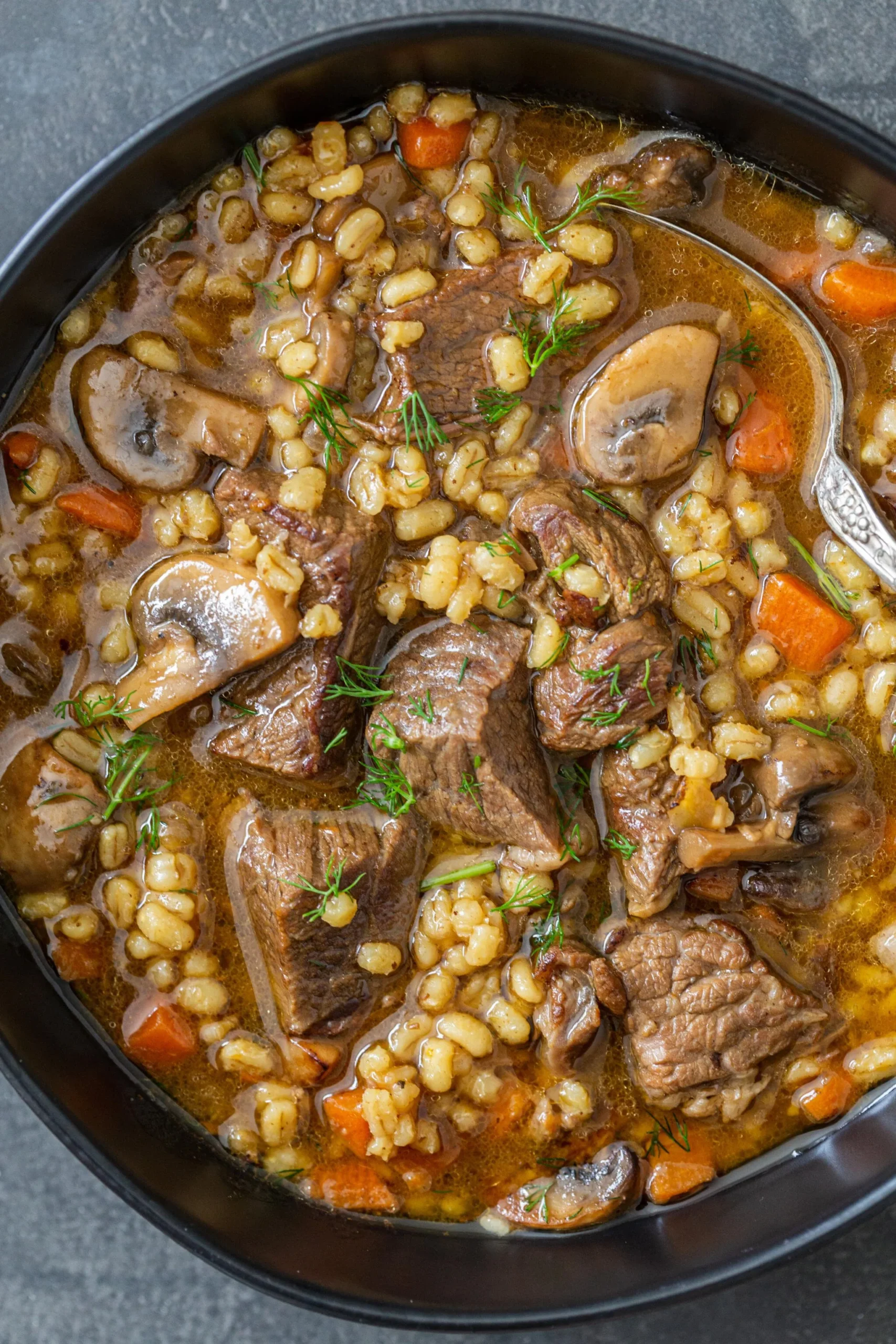 Smoked Beef Barley Soup