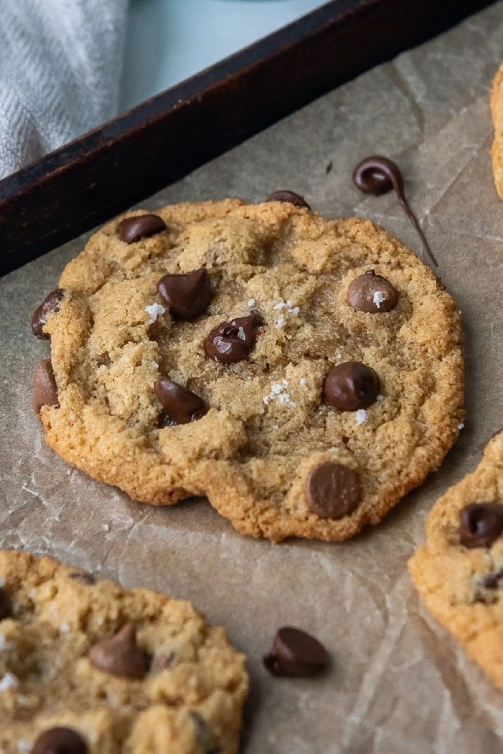 Soft Chewy Coconut Almond Chocolate Chip Cookies