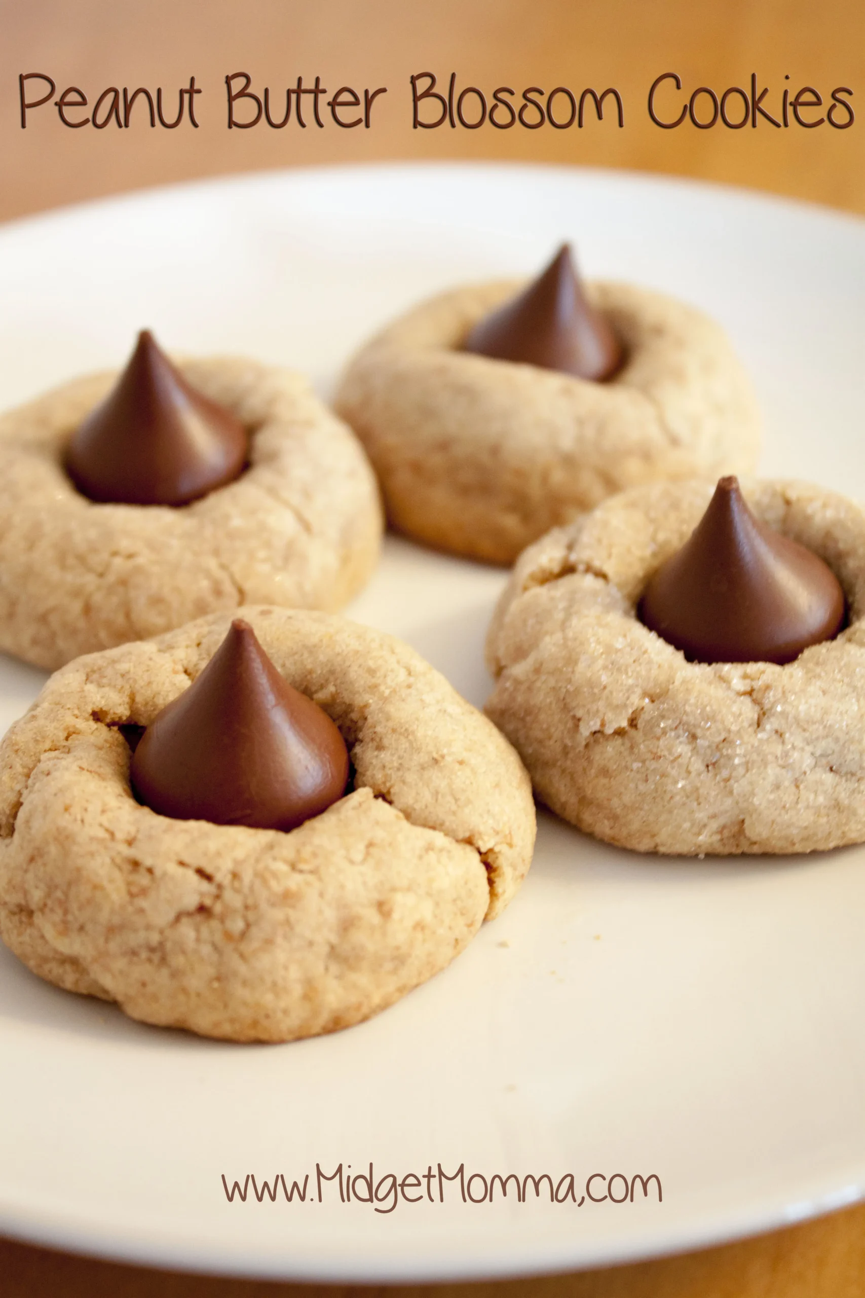 Soft Peanut Butter Cookies and Peanut Blossoms
