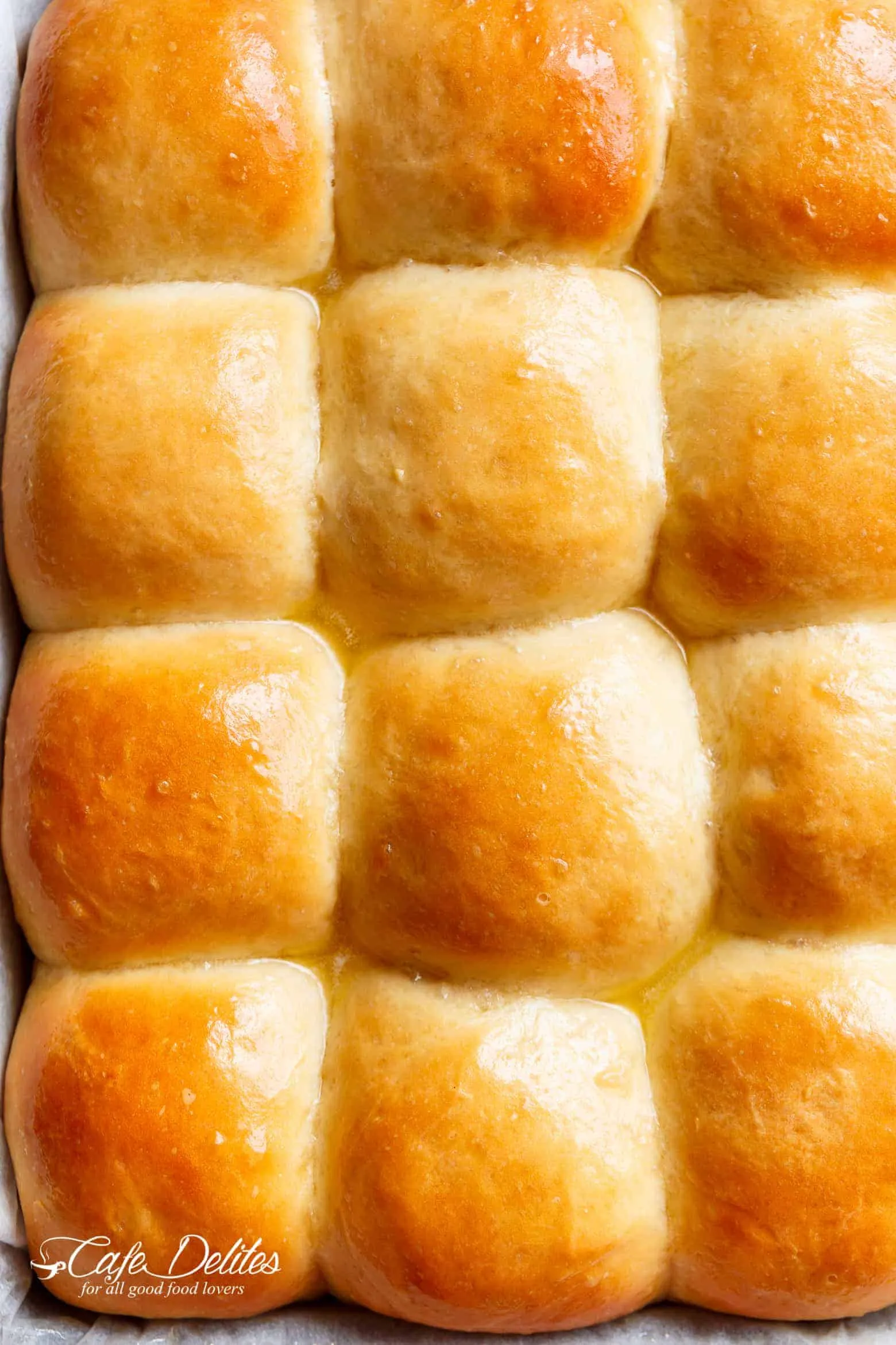 Soft and Chewy Dinner Rolls