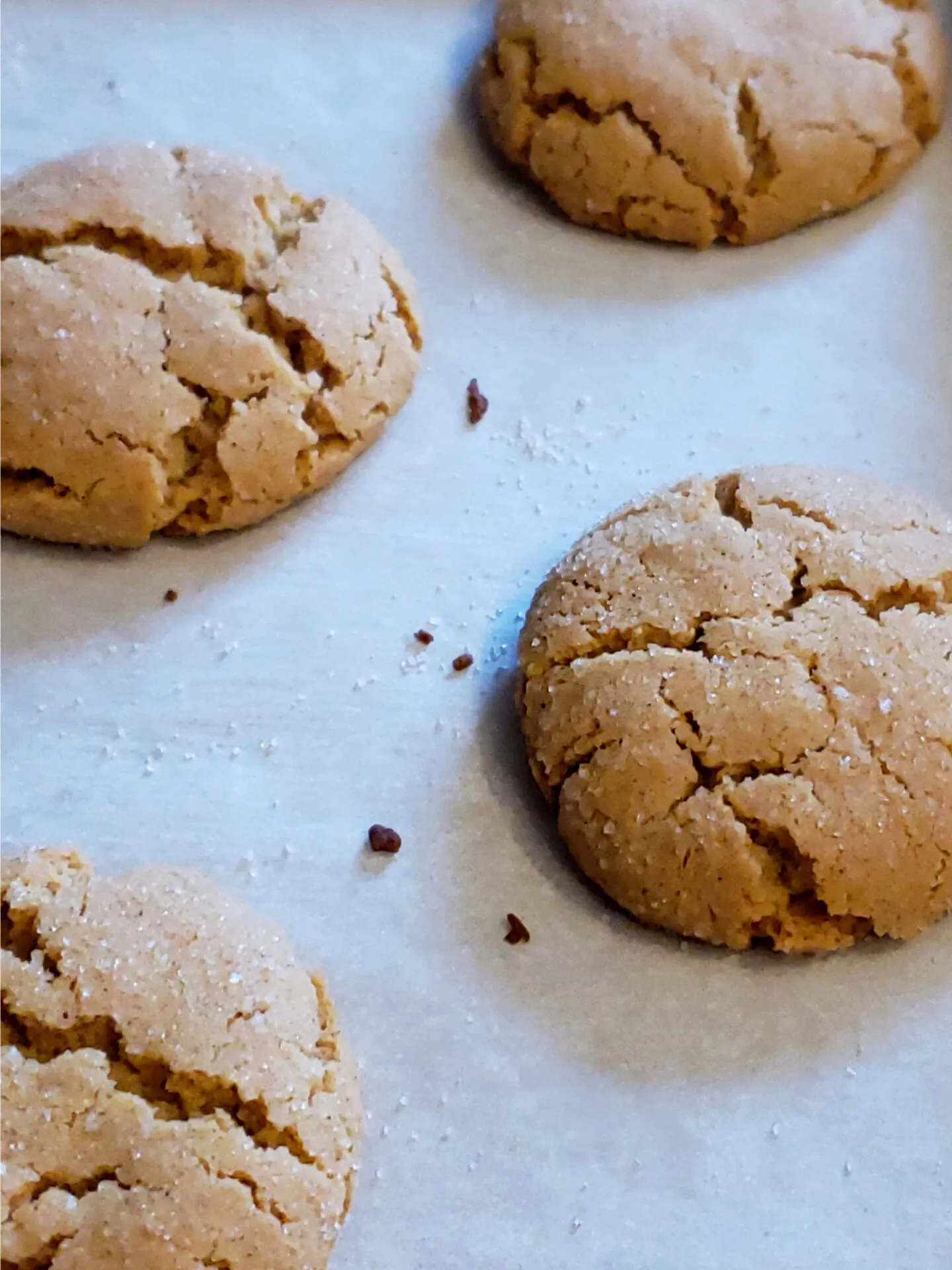 Sorghum Tea Cookies