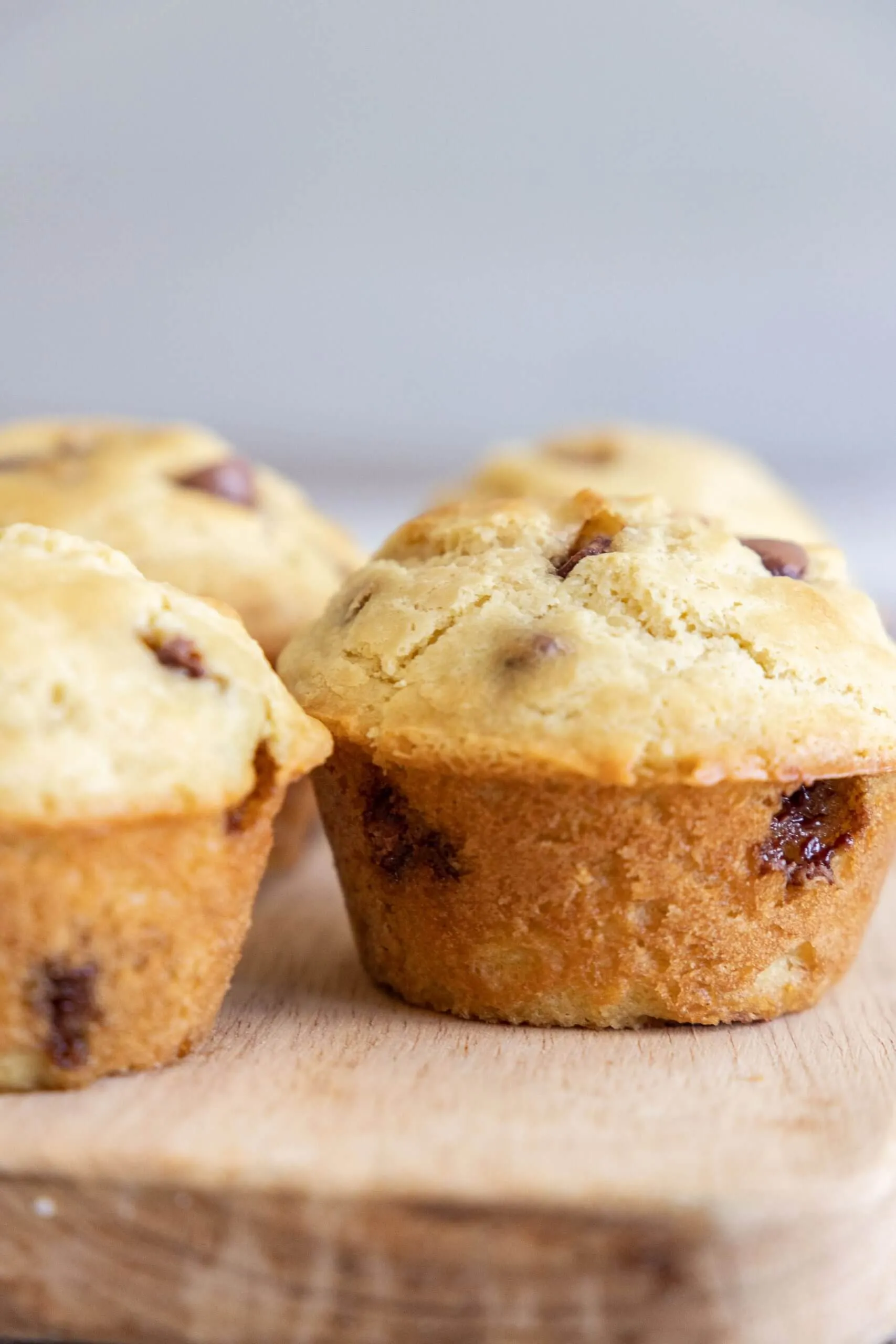 Sourdough Discard Chocolate Chip Muffins
