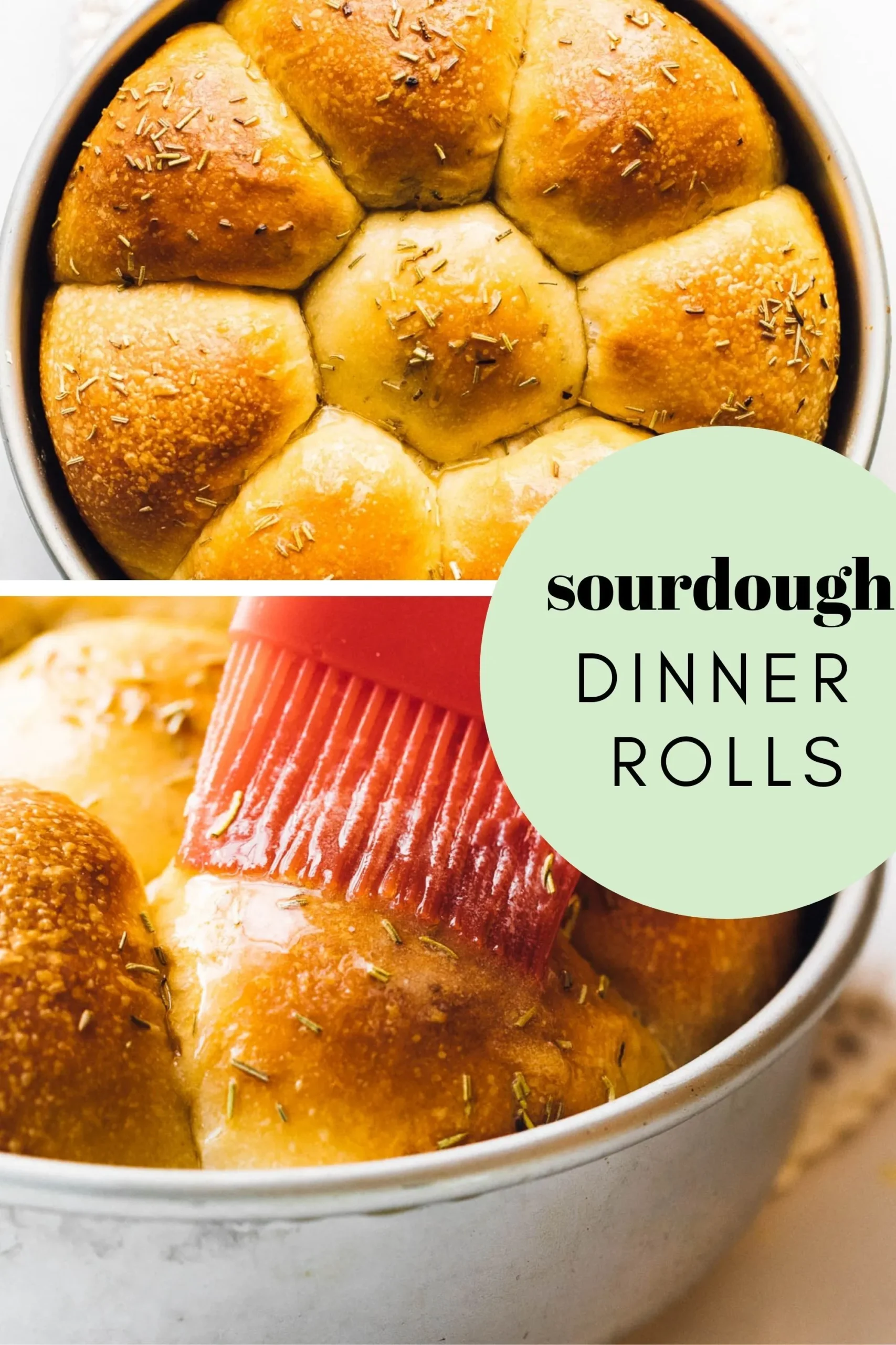 Sourdough Garlic Dinner Rolls