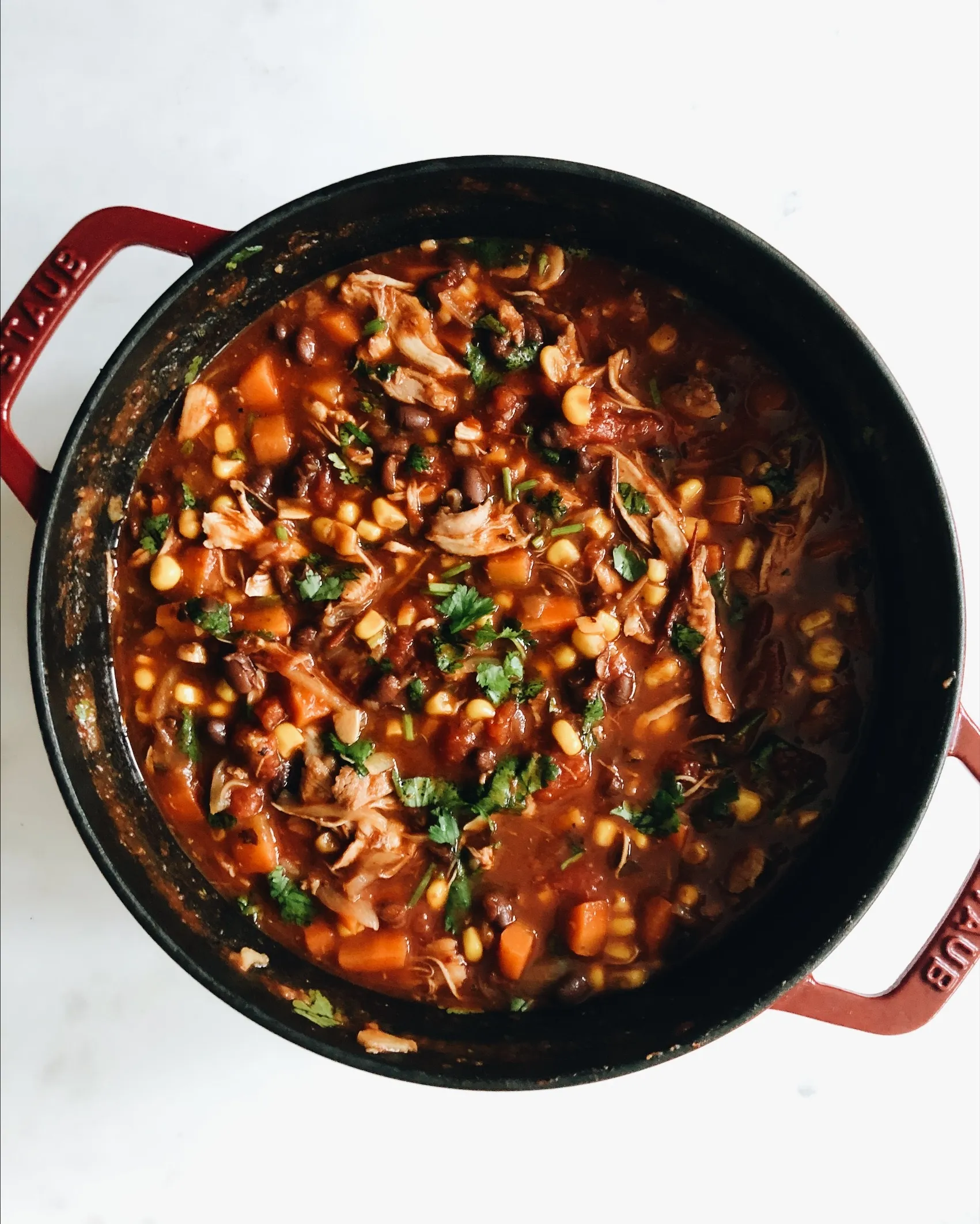 Southwestern Spiced Chicken Black Bean Stew