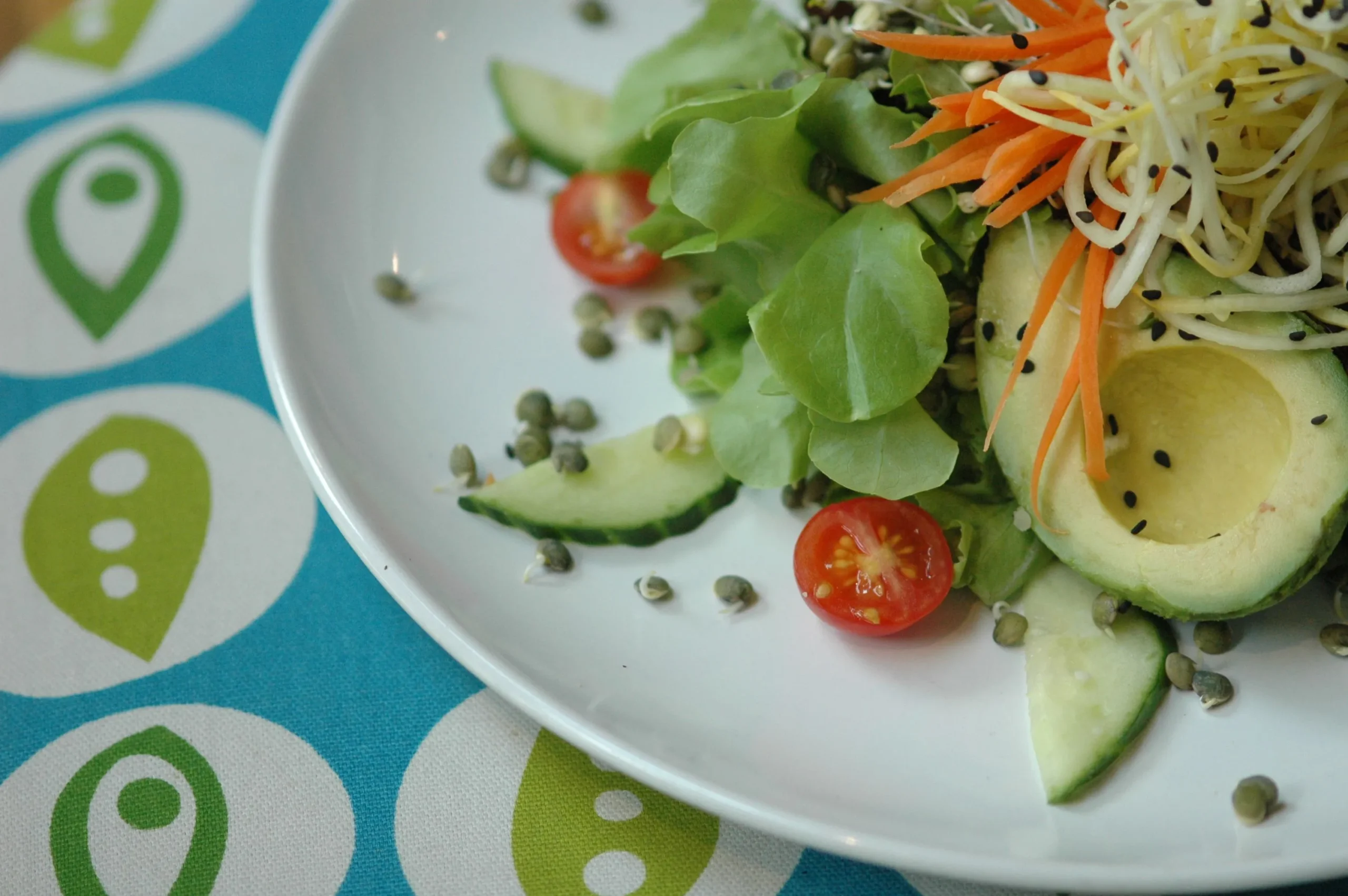 Soya Sprouts Avocado Salad