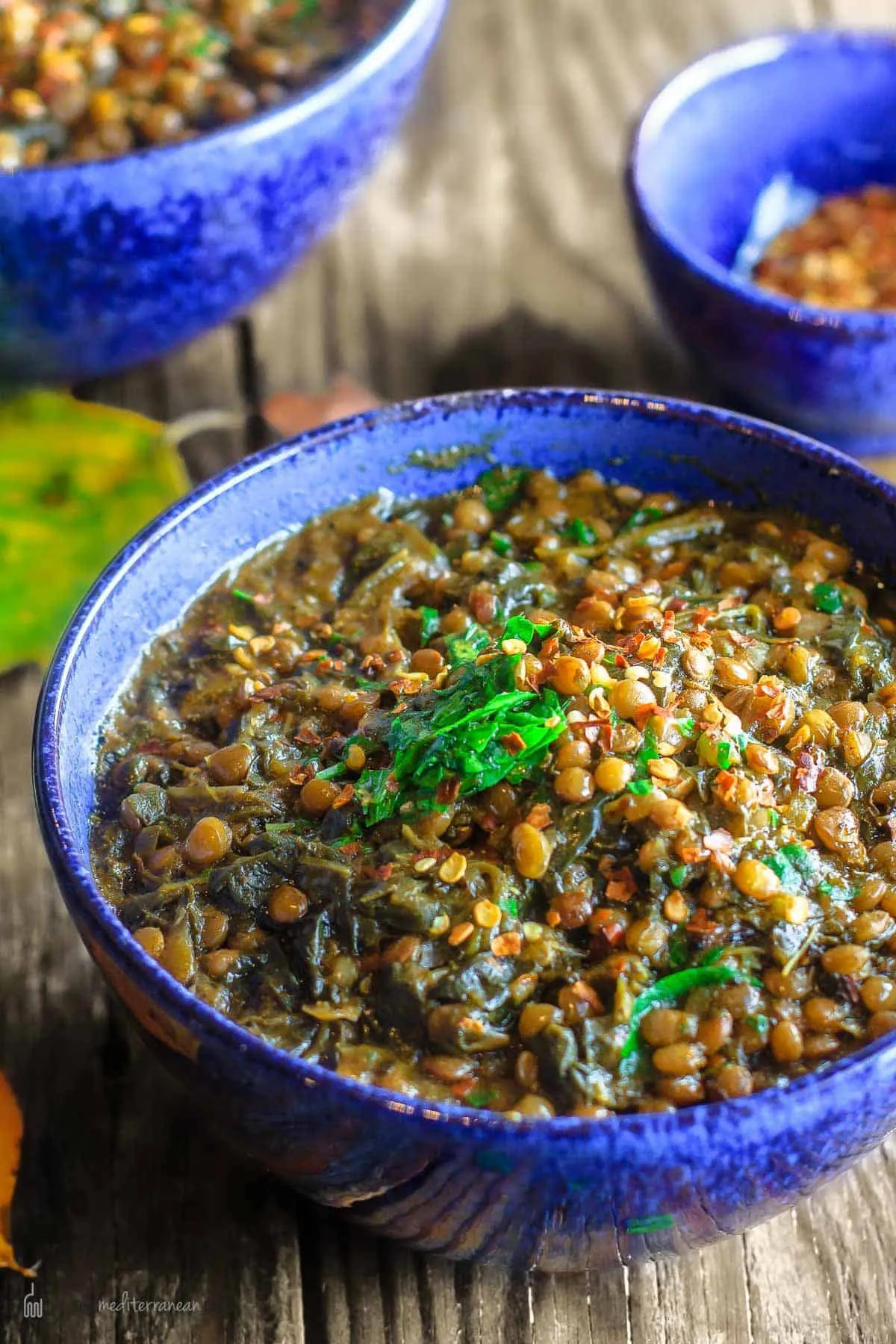 Spicy Spinach and Lentil Soup