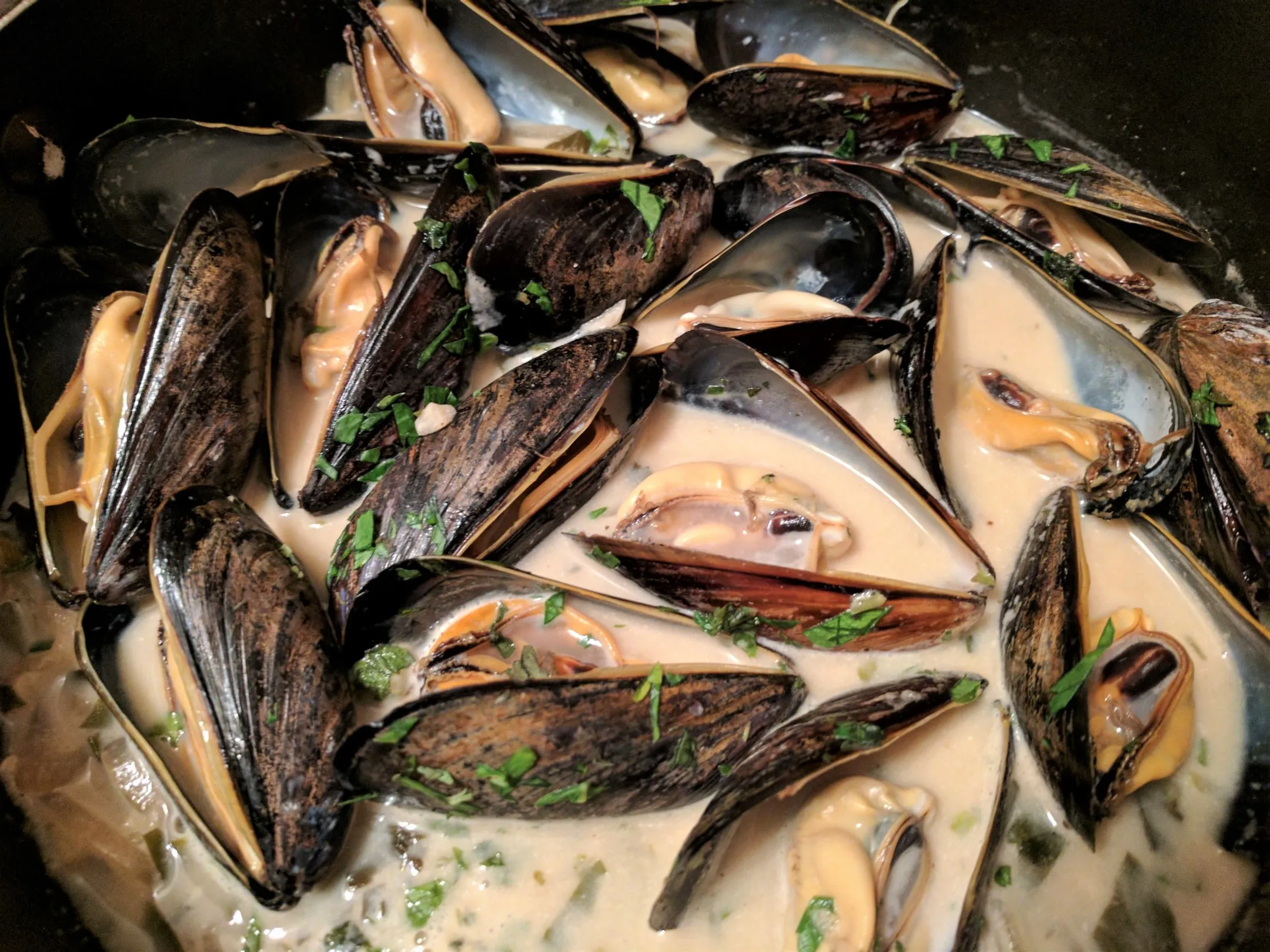 Steamed Mussels with White Wine Broth