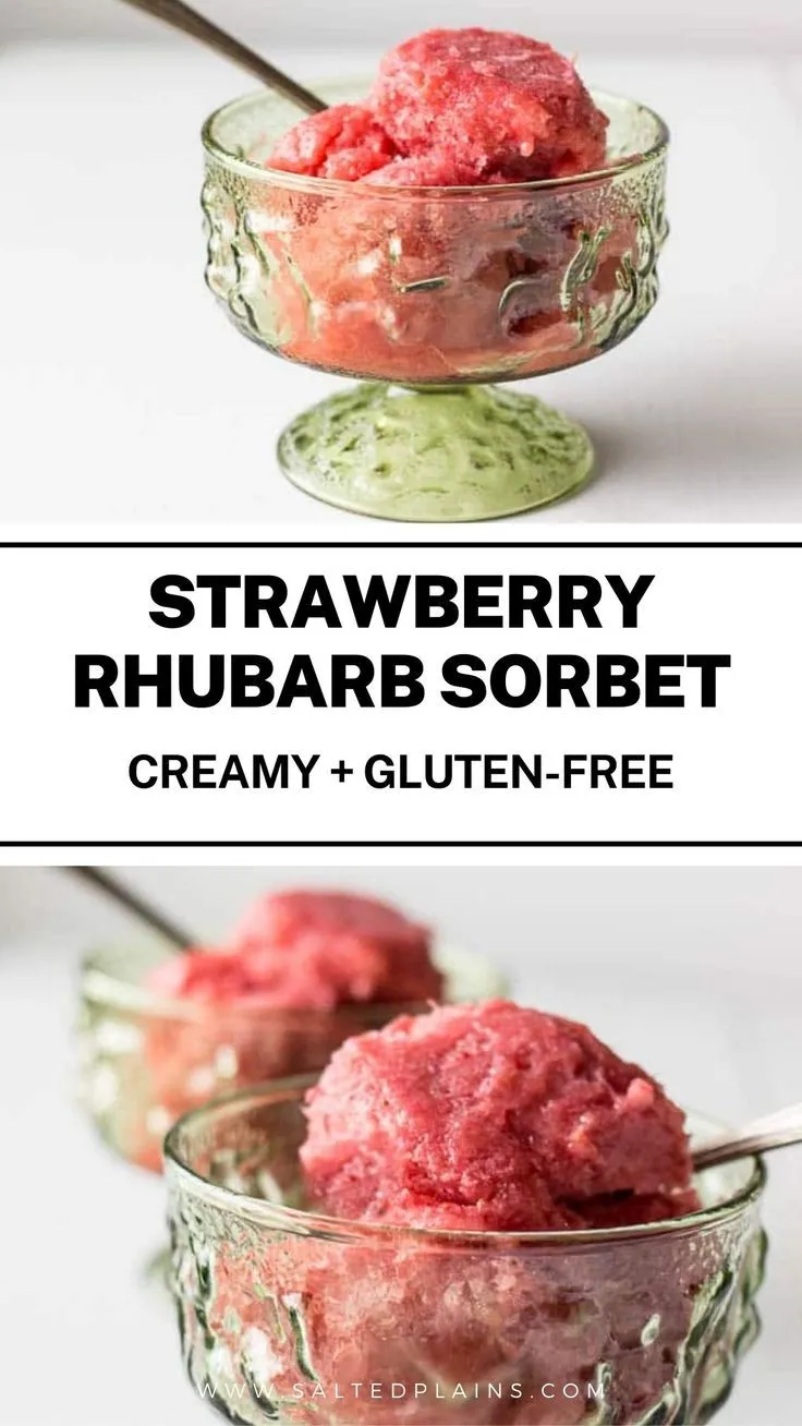 Strawberry Rhubarb Sorbet Gluten Free Refined Sugar Free