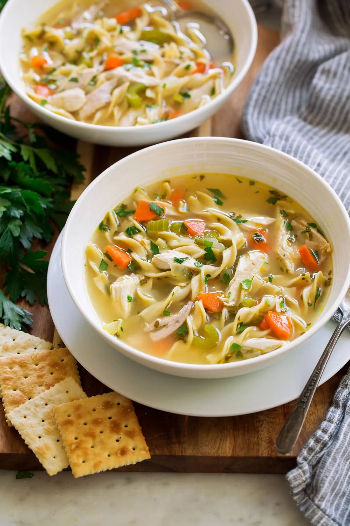 Super Easy Chicken Noodle Soup