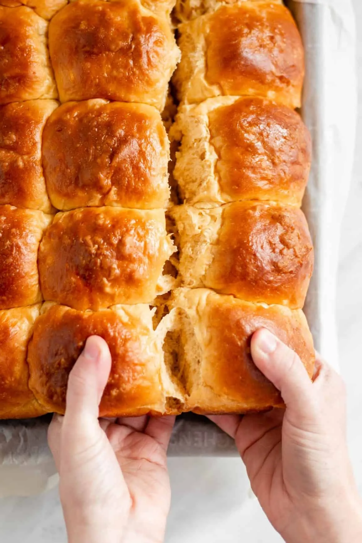 Sweet Potato Bread Rolls