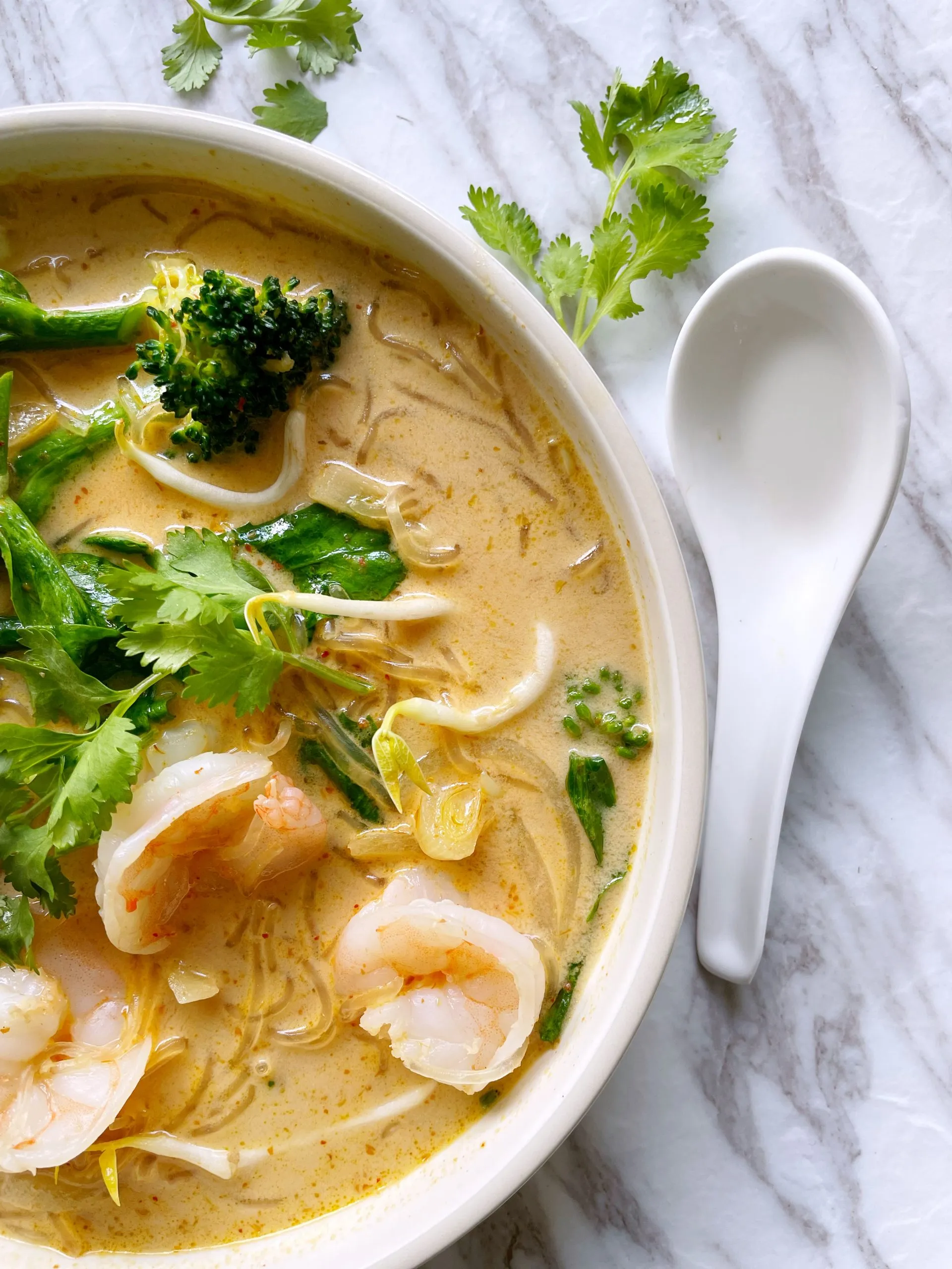 Thai Red Curry Noodle Soup