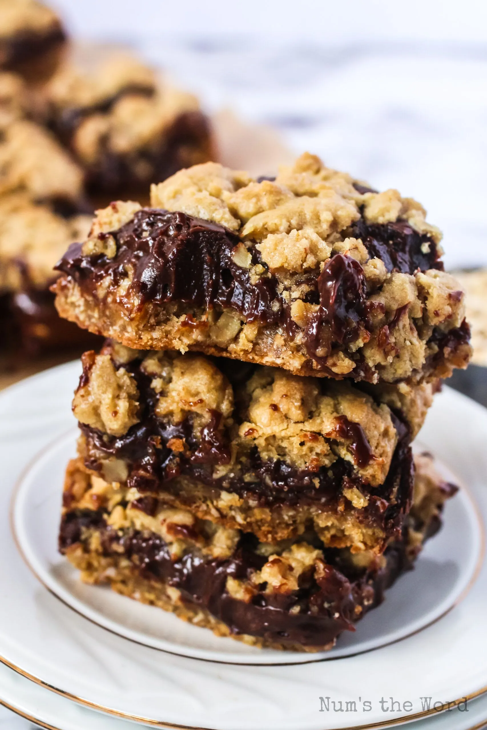 Thick Chewy Carmelita Bars