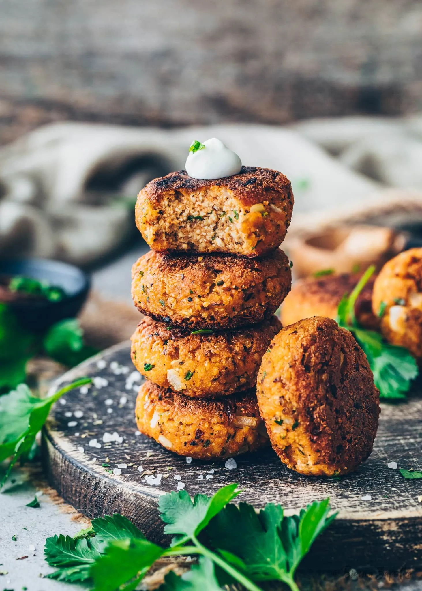 Tofu Patties Vegan Meatballs