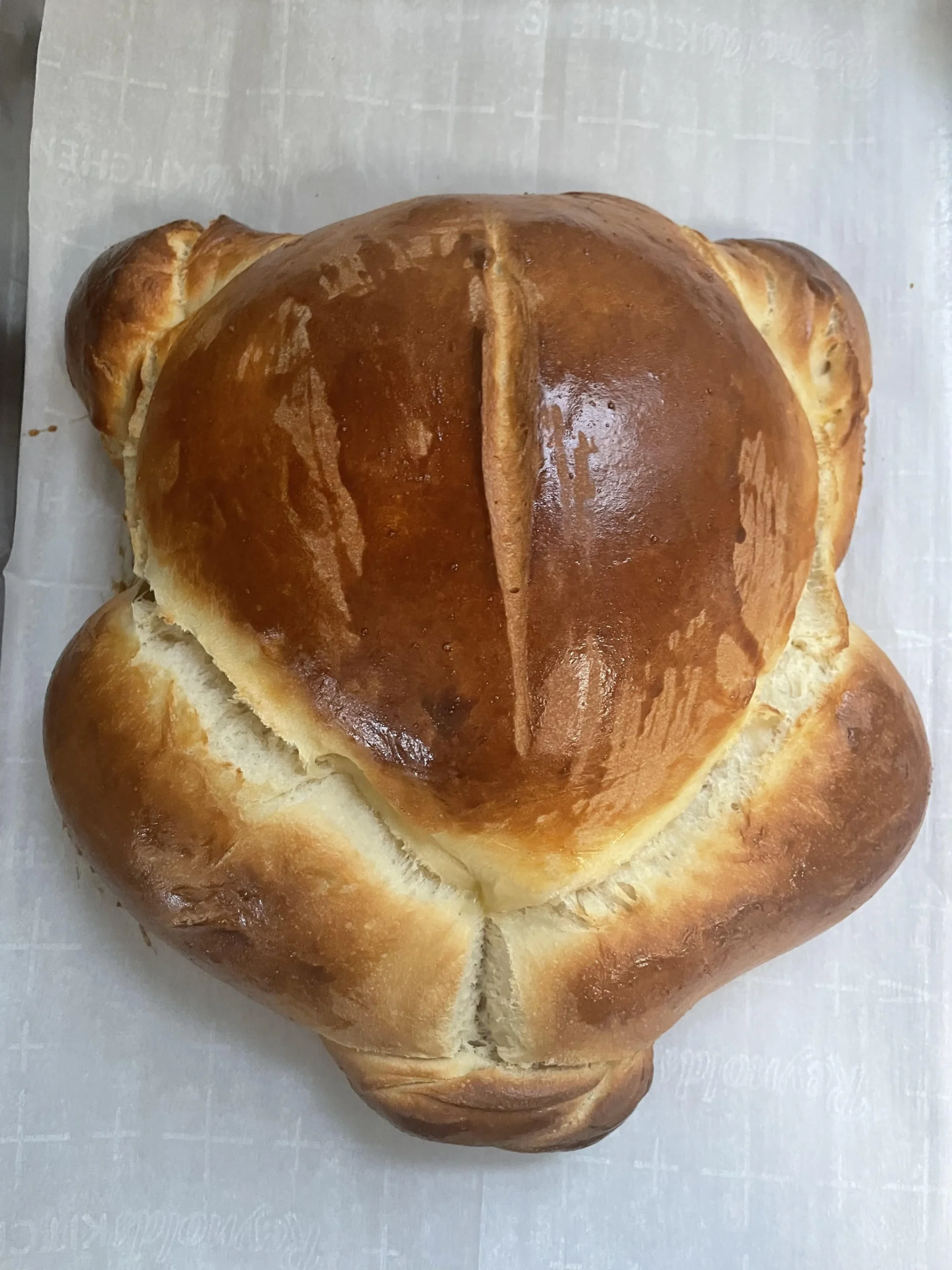 Turkey Shaped Milk Bread