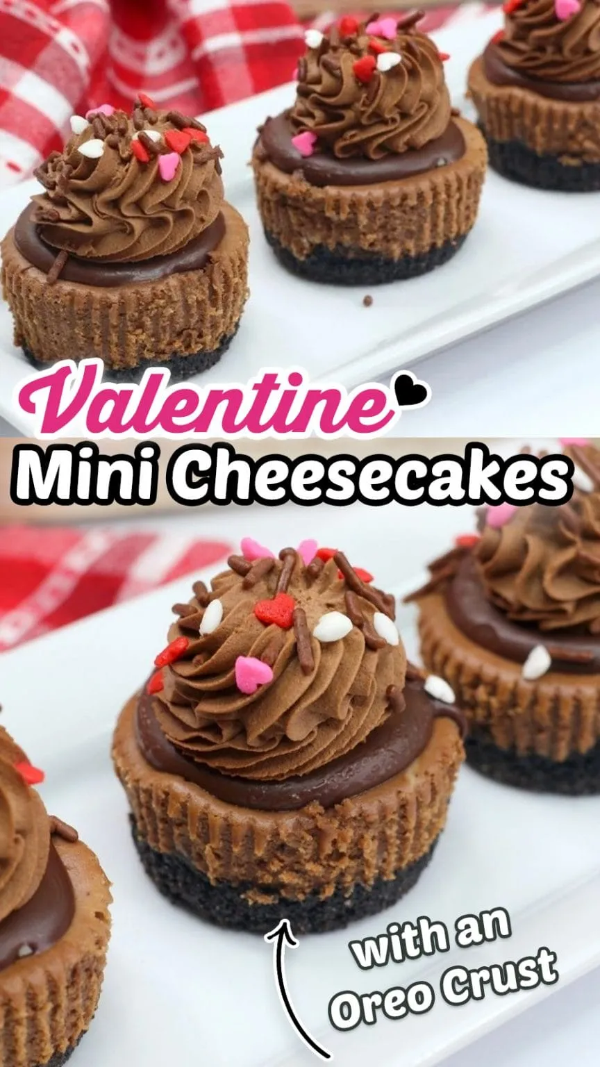 Valentine Mini Chocolate Cheesecakes