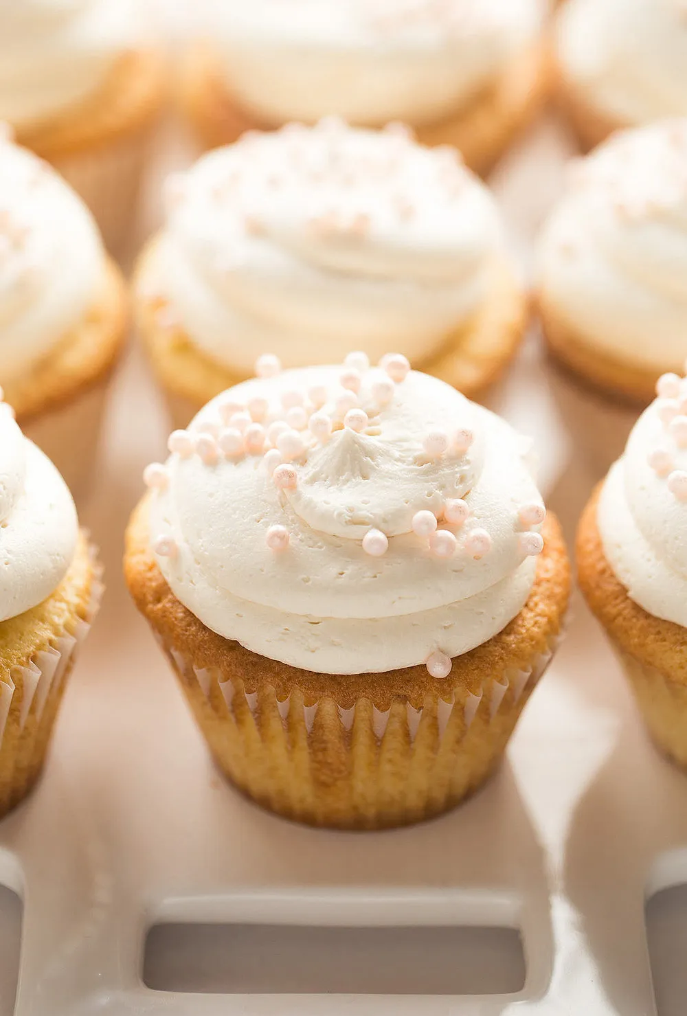 Vanilla Cupcakes with Fudge Buttercream Frosting
