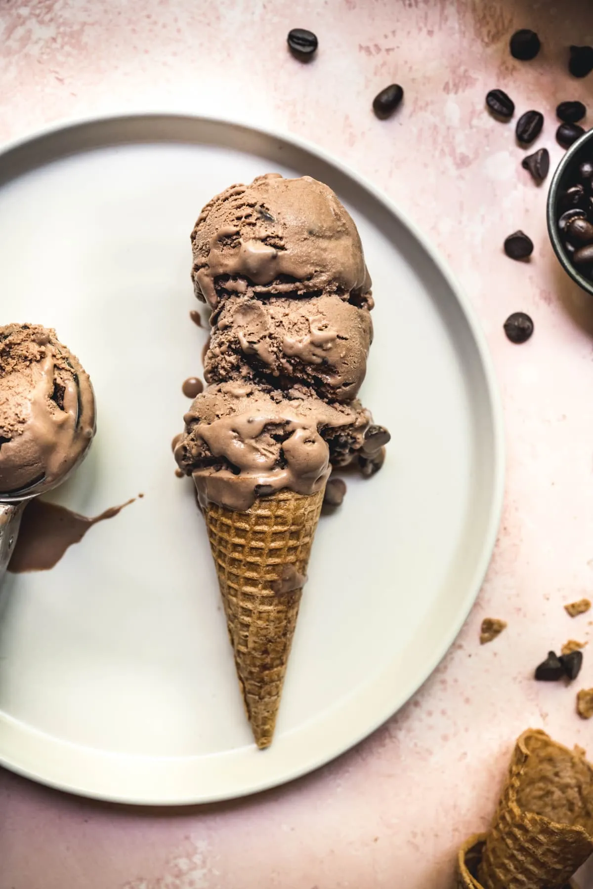 Vegan Mocha Ice Cream