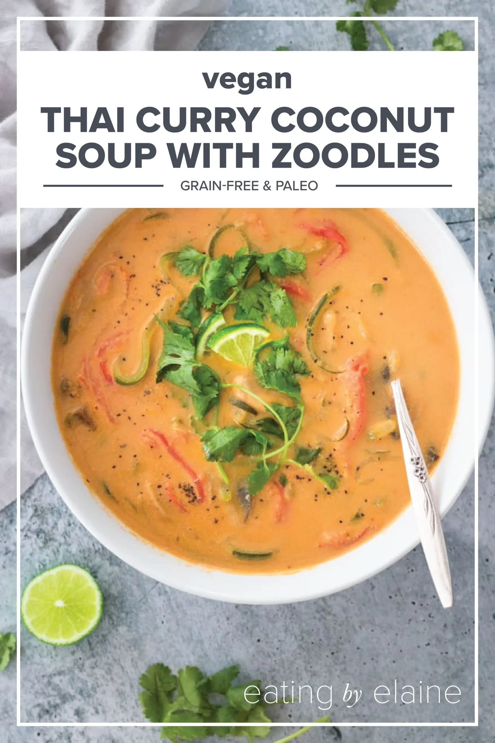 Vegan Thai Curry Coconut Soup with Zoodles