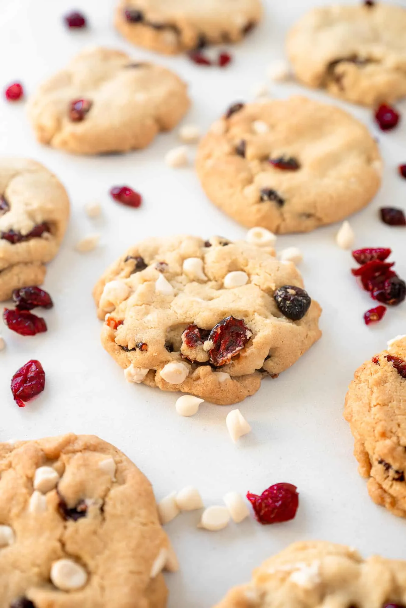 Vegan and Gluten Free Cranberry Chocolate Cookies